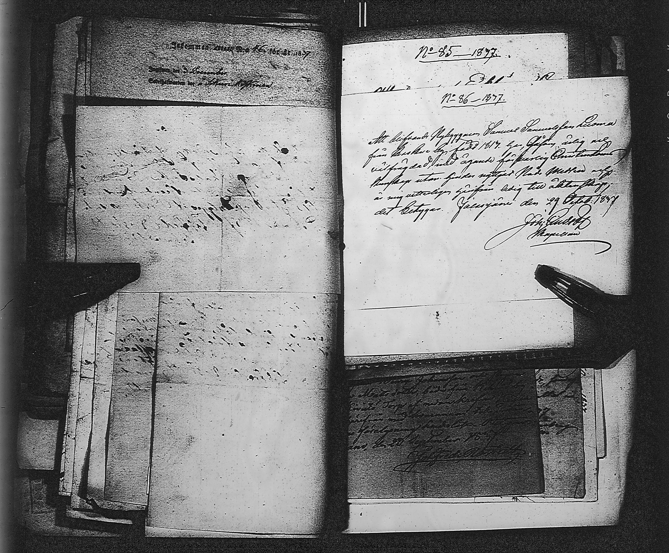 [ kuvat/223.jpg ]