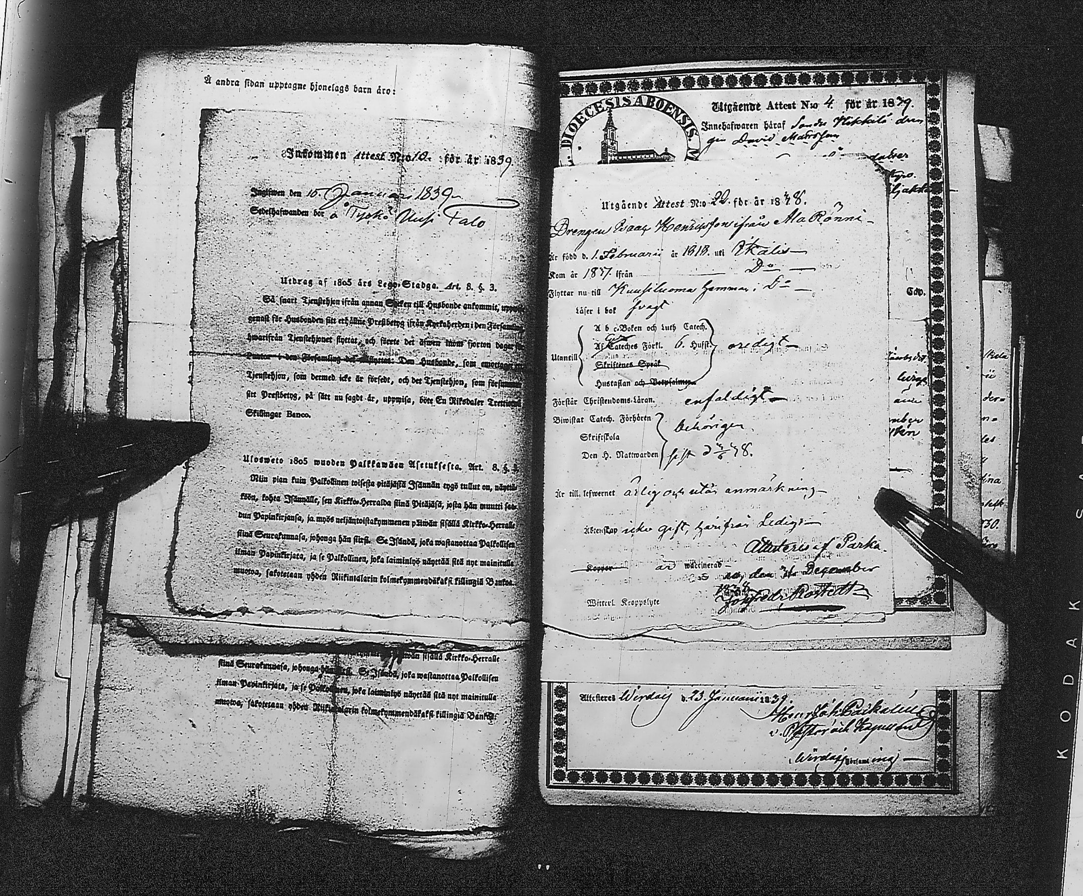 [ kuvat/176.jpg ]