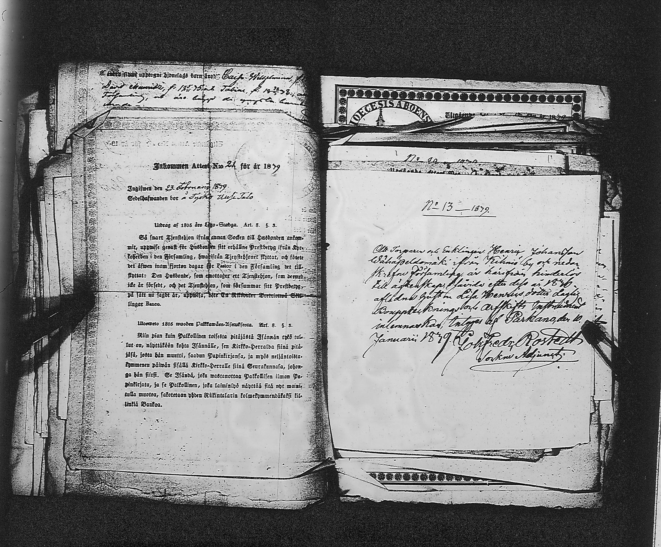 [ kuvat/195.jpg ]