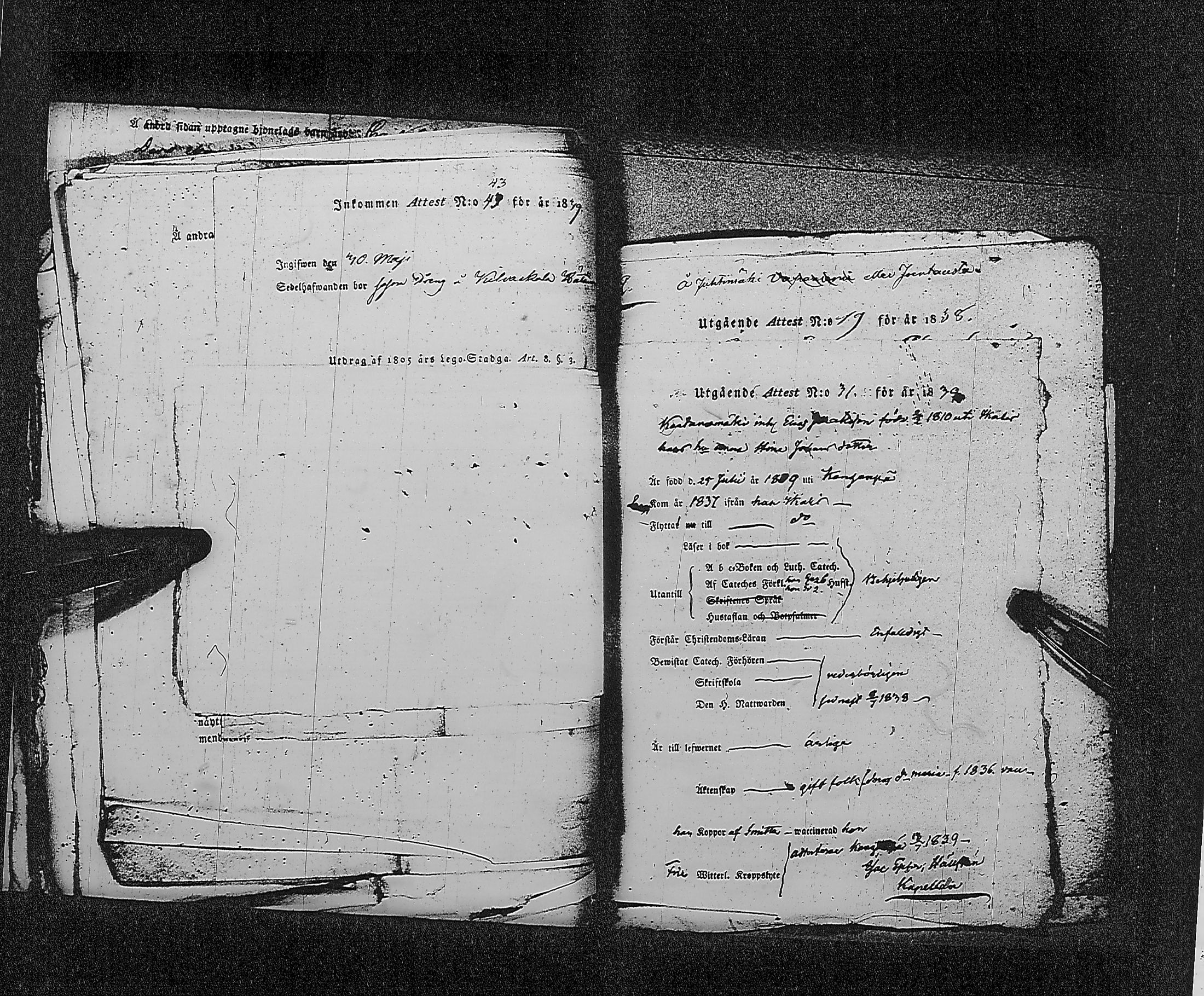 [ kuvat/263.jpg ]