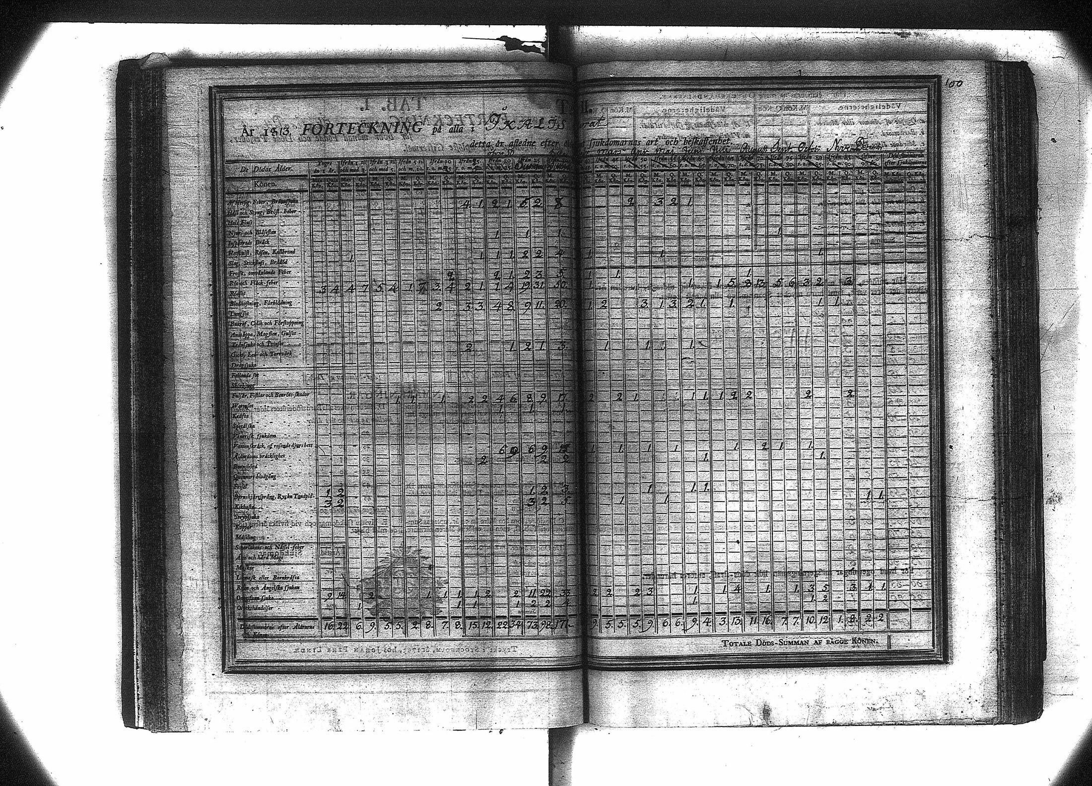 [ kuvat/111.jpg ]