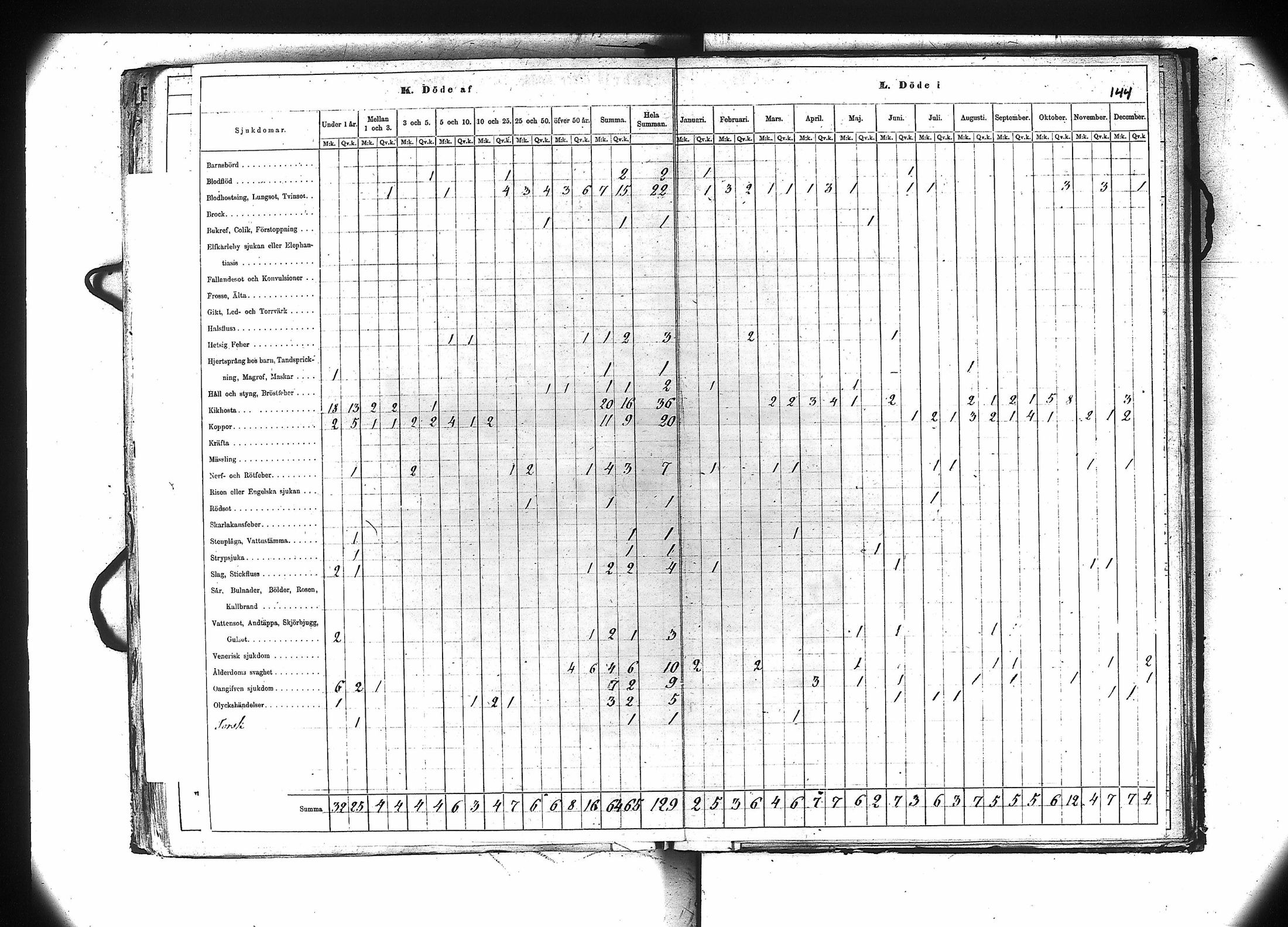 [ kuvat/145.jpg ]