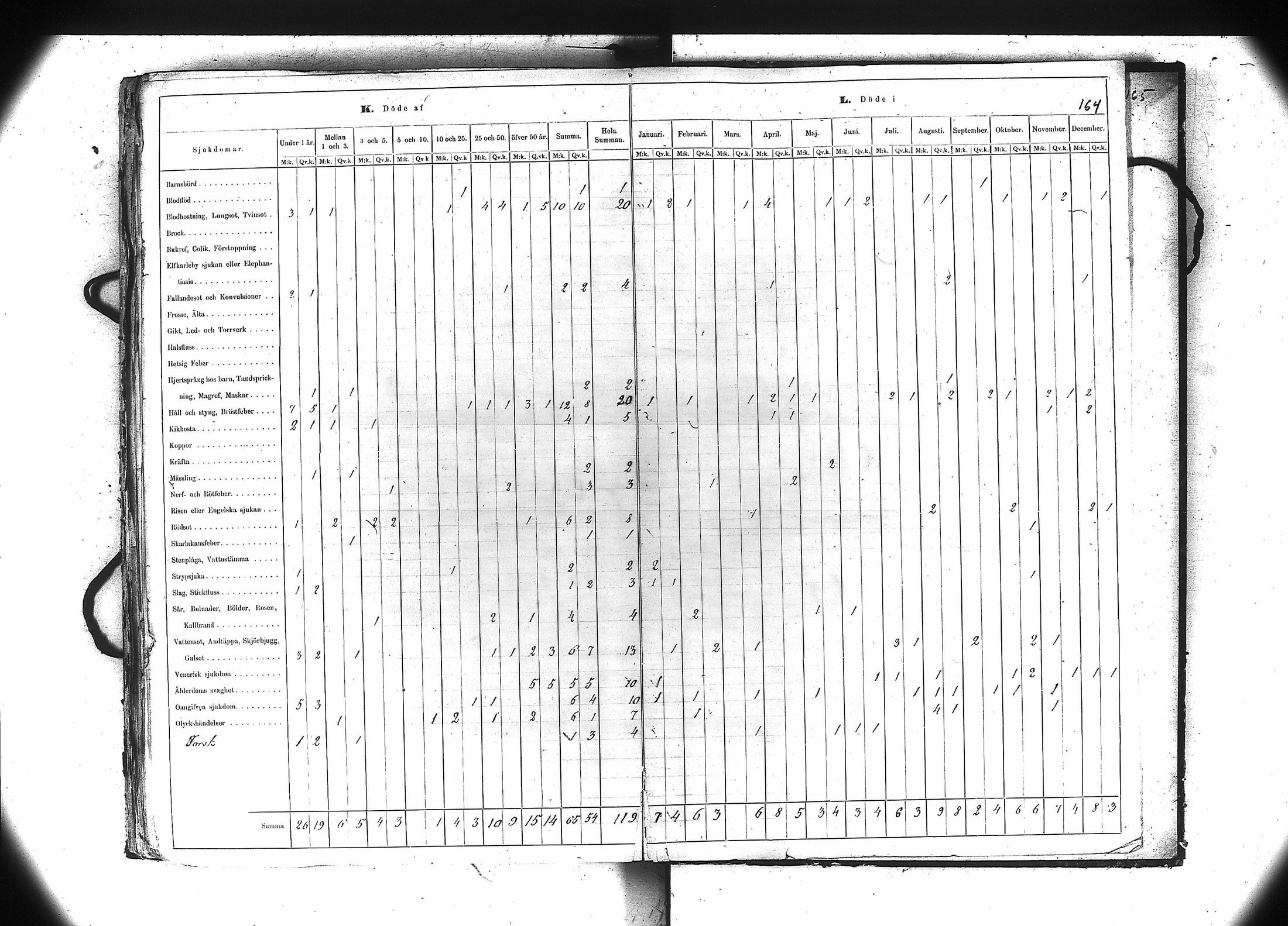 [ kuvat/165.jpg ]