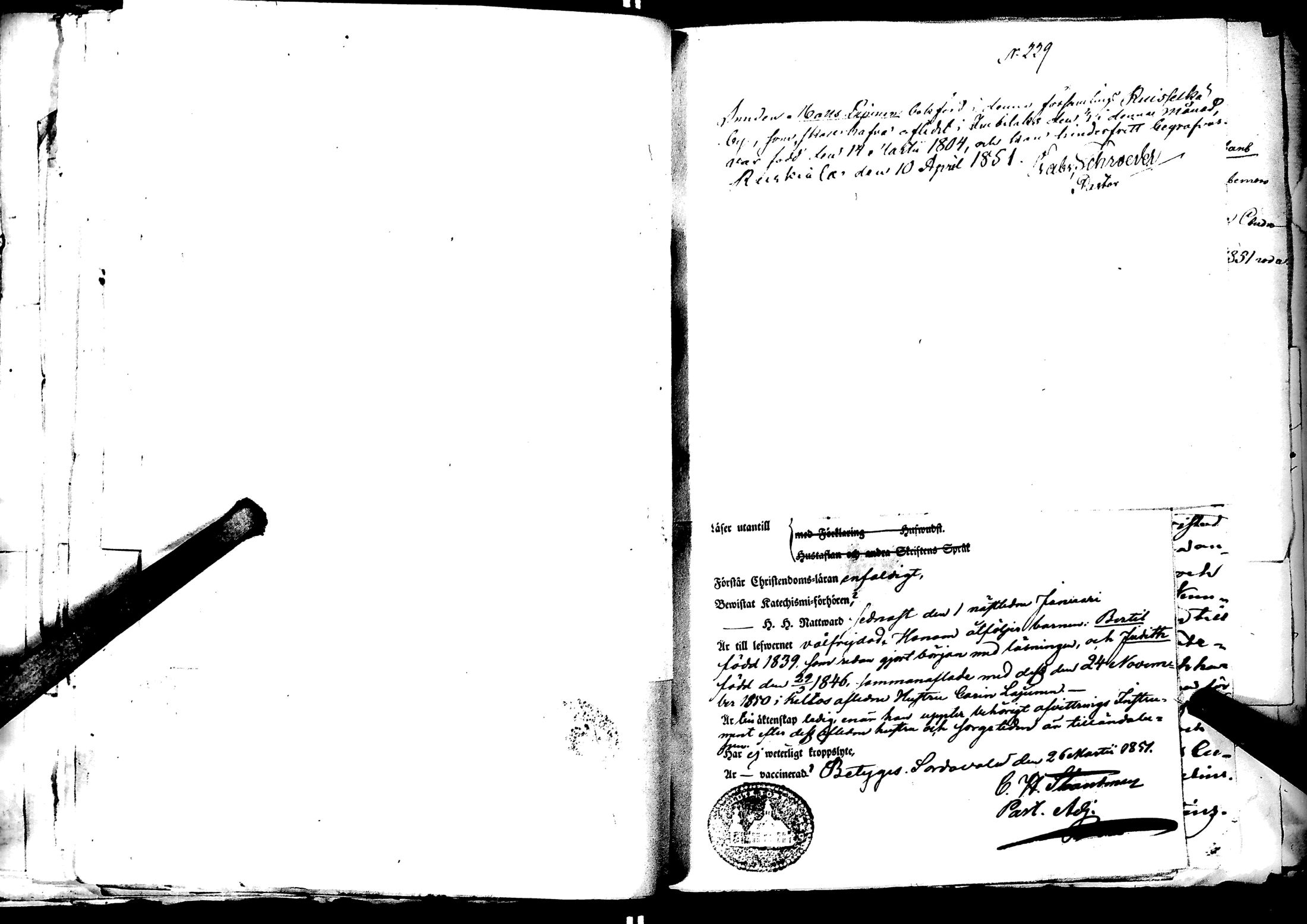 [ kuvat/239.jpg ]