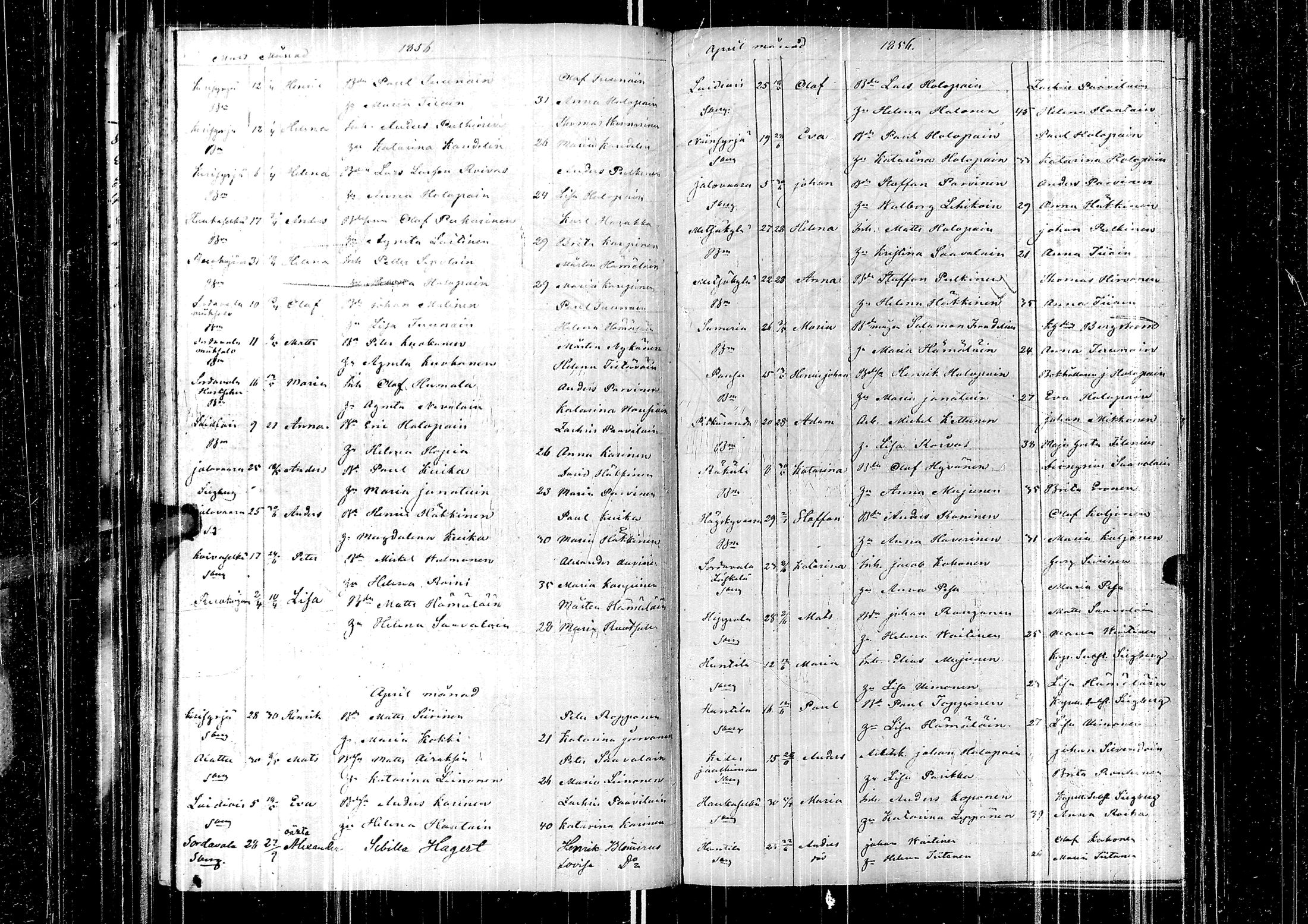 [ kuvat/113.jpg ]