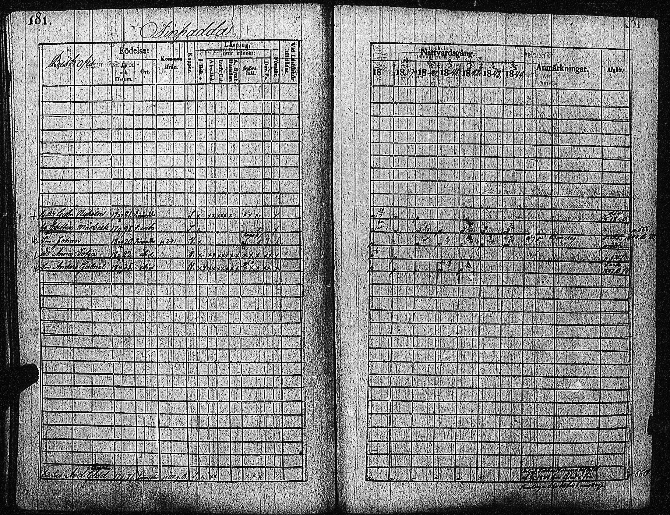 [ kuvat/184.jpg ]