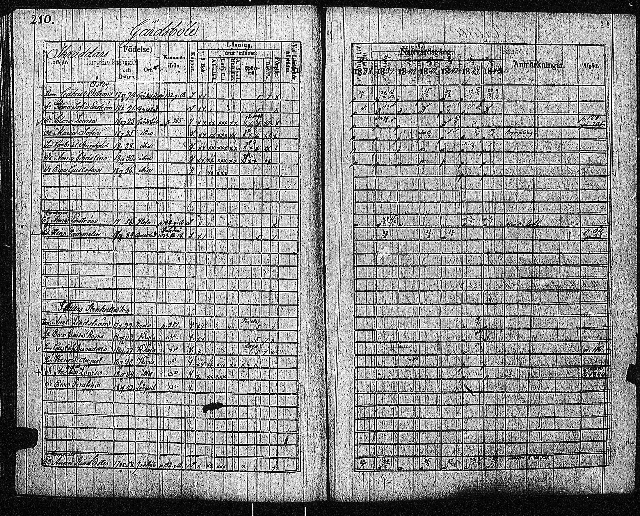 [ kuvat/213.jpg ]
