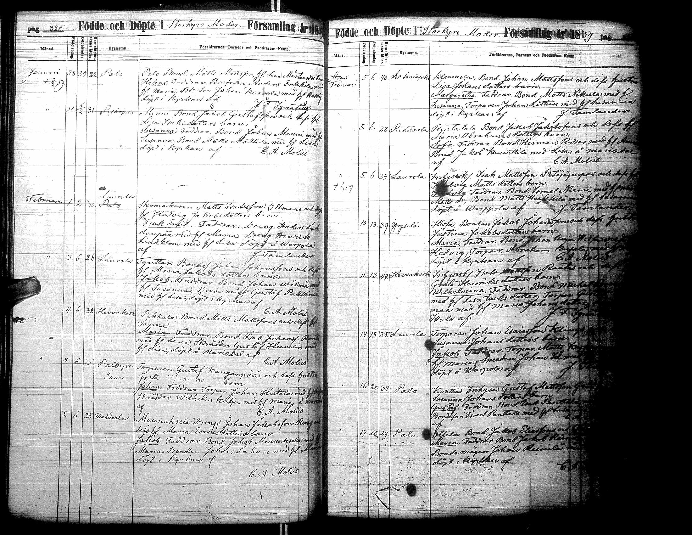 [ kuvat/164.jpg ]