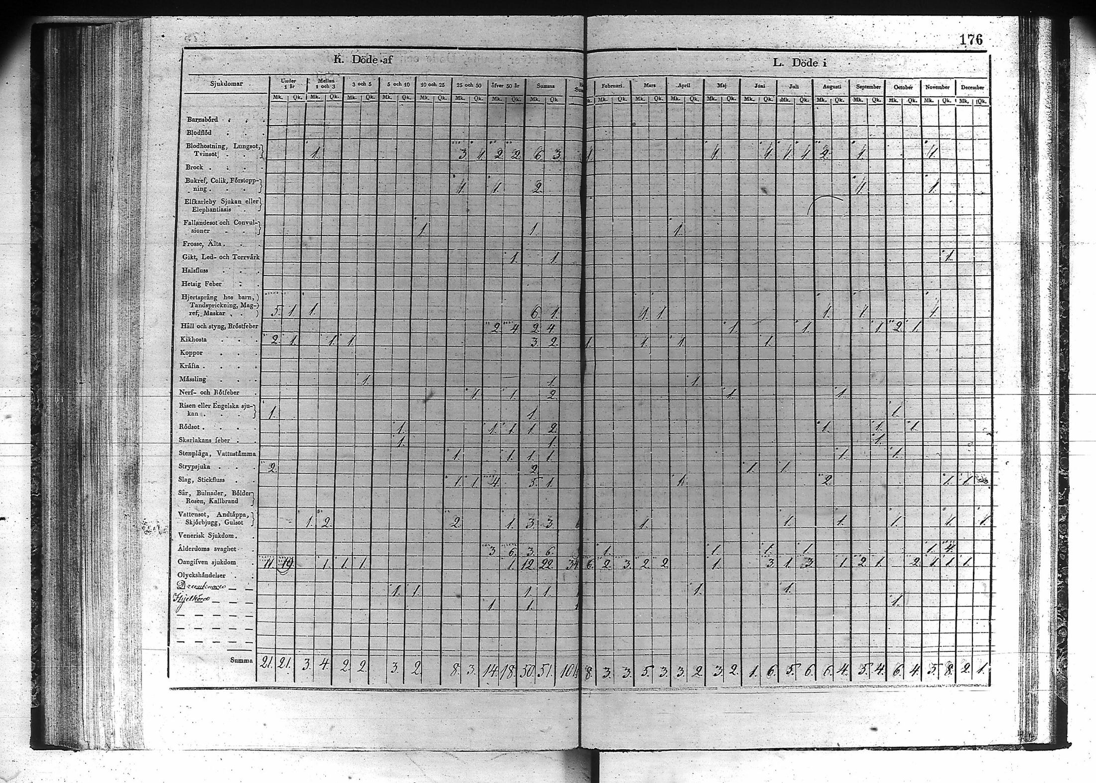 [ kuvat/177.jpg ]
