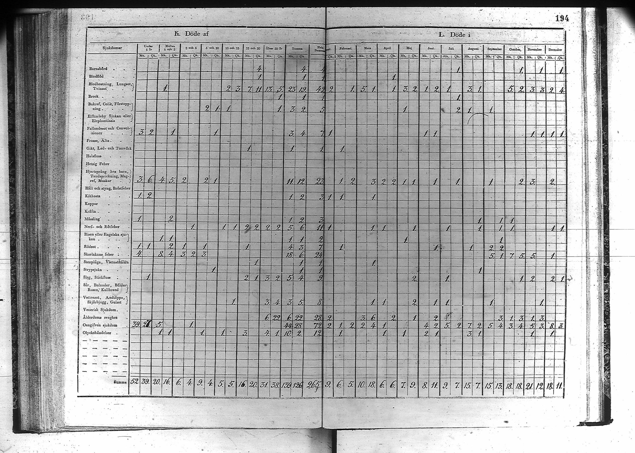[ kuvat/195.jpg ]