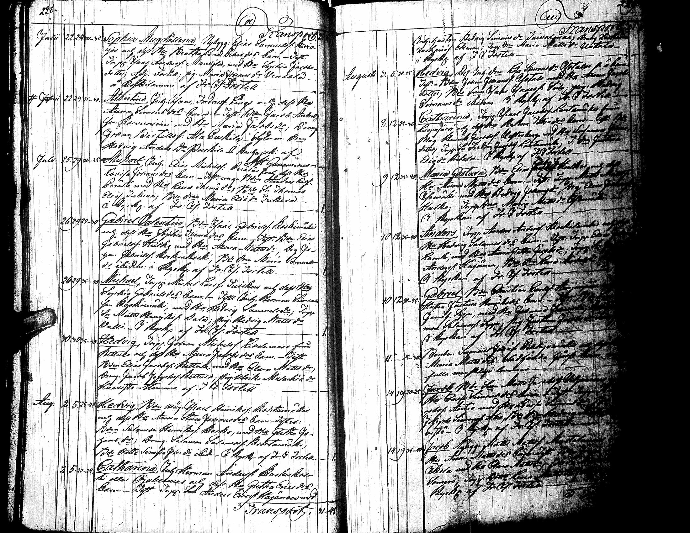 [ kuvat/121.jpg ]
