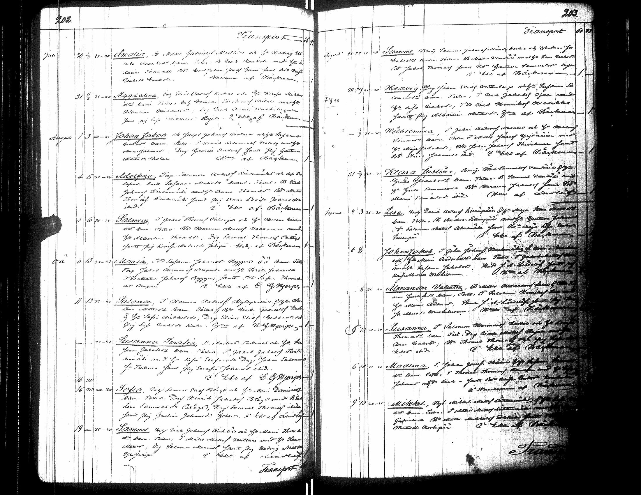 [ kuvat/108.jpg ]