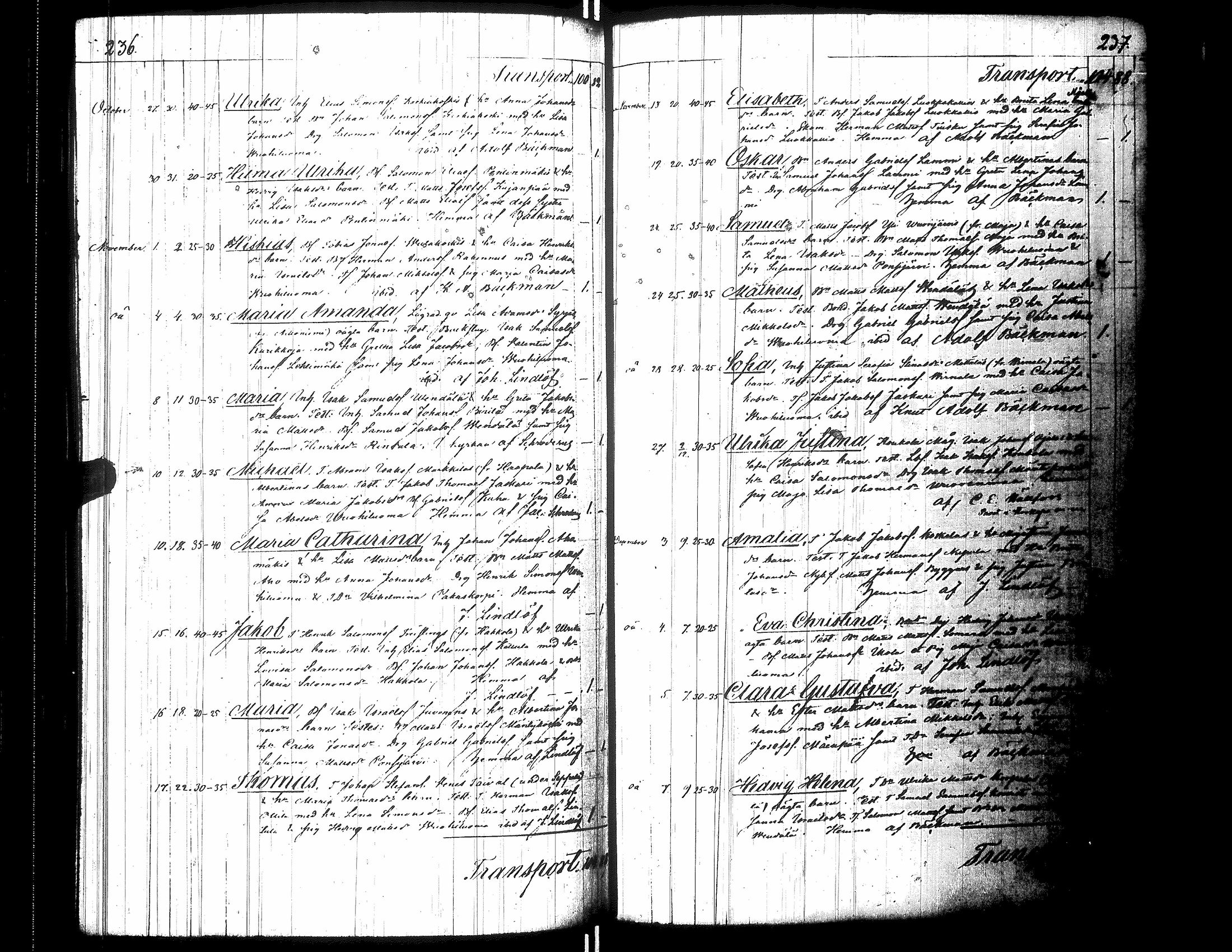 [ kuvat/125.jpg ]