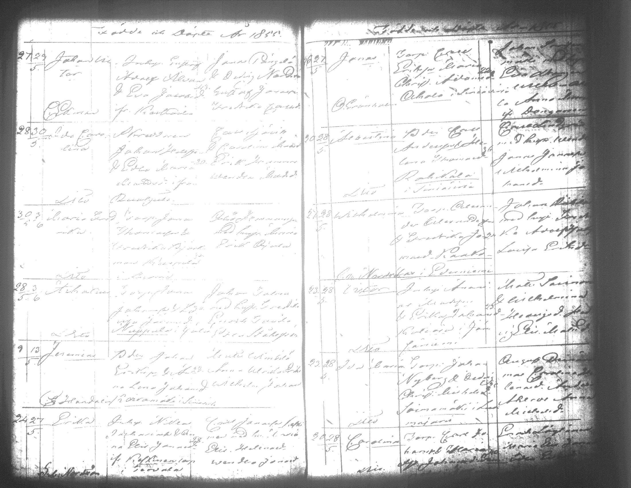 [ kuvat/489.jpg ]
