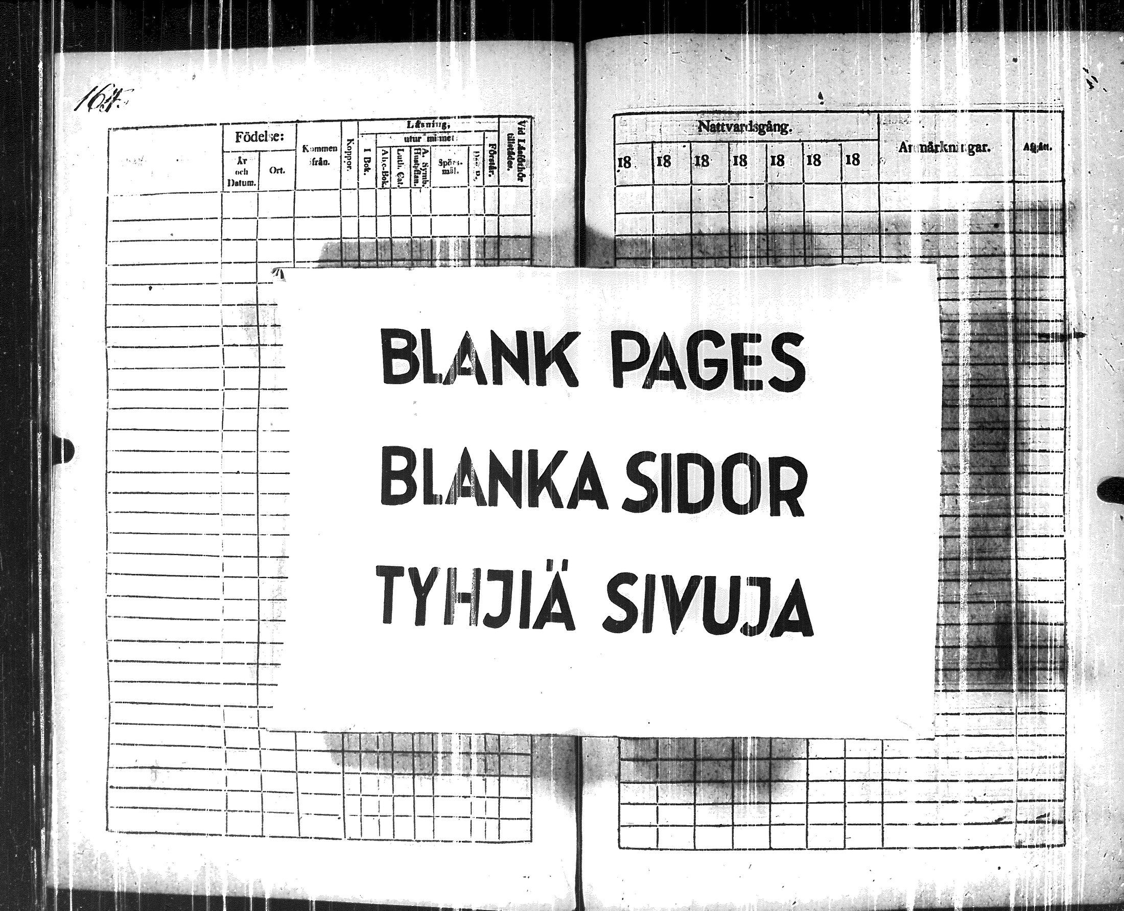 [ kuvat/175.jpg ]