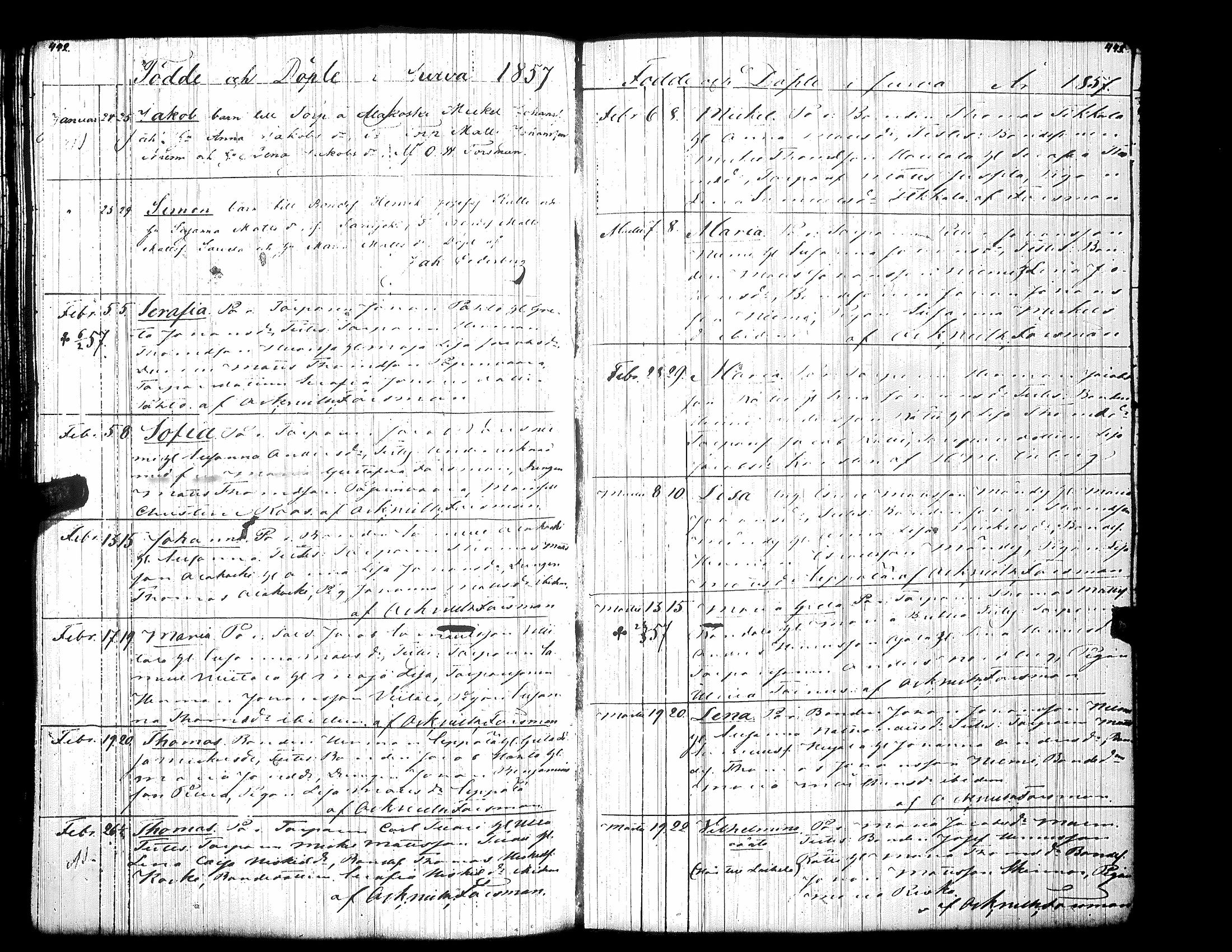 [ kuvat/228.jpg ]