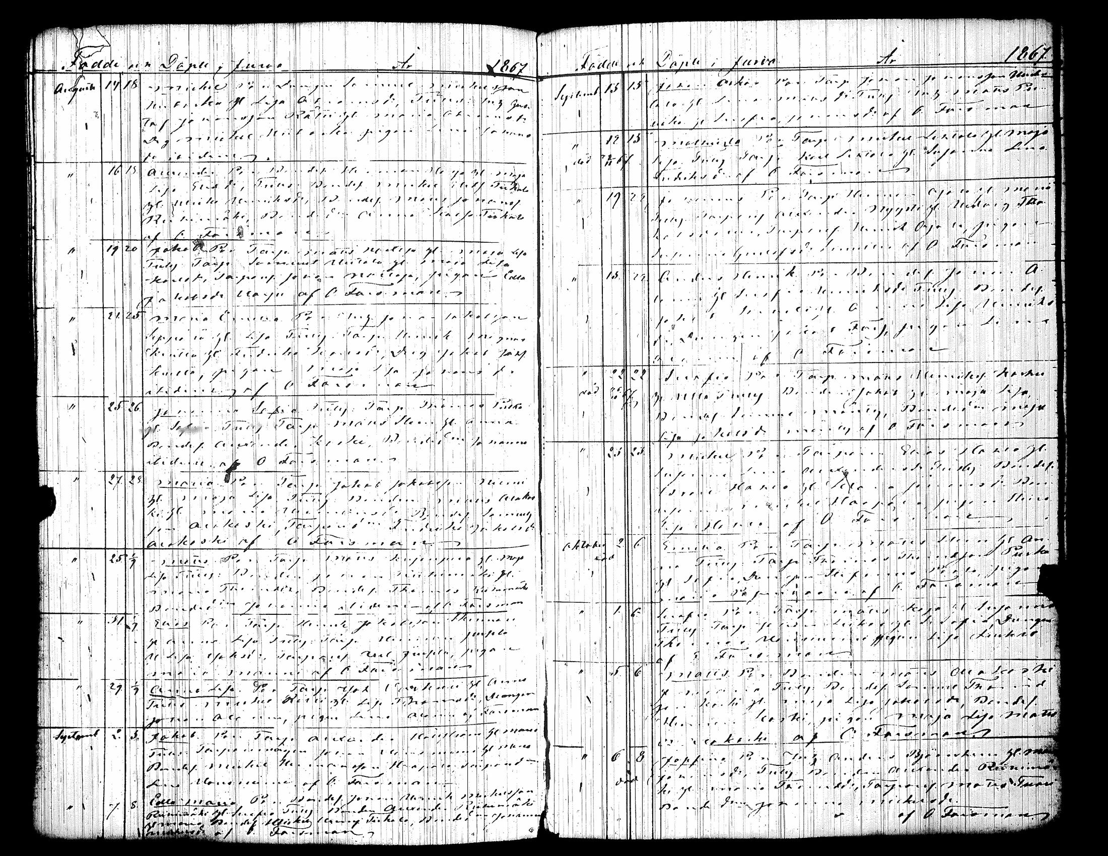[ kuvat/295.jpg ]