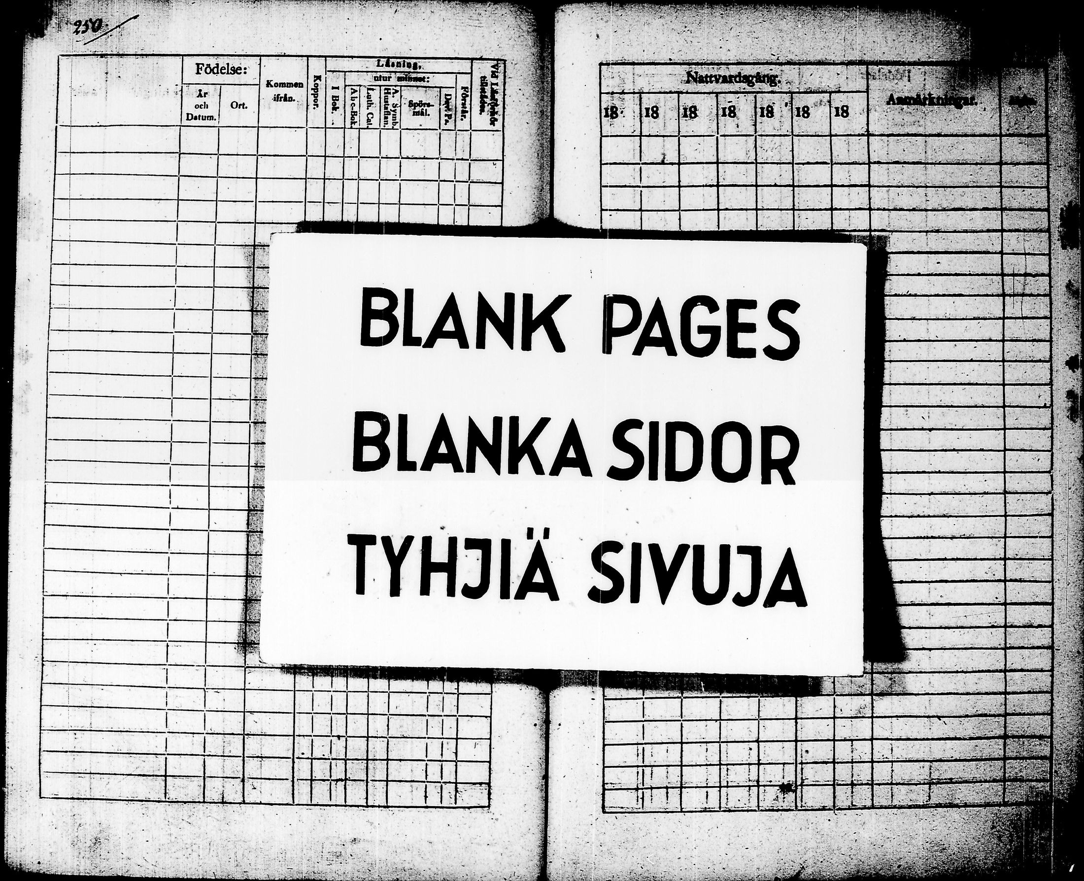 [ kuvat/269.jpg ]
