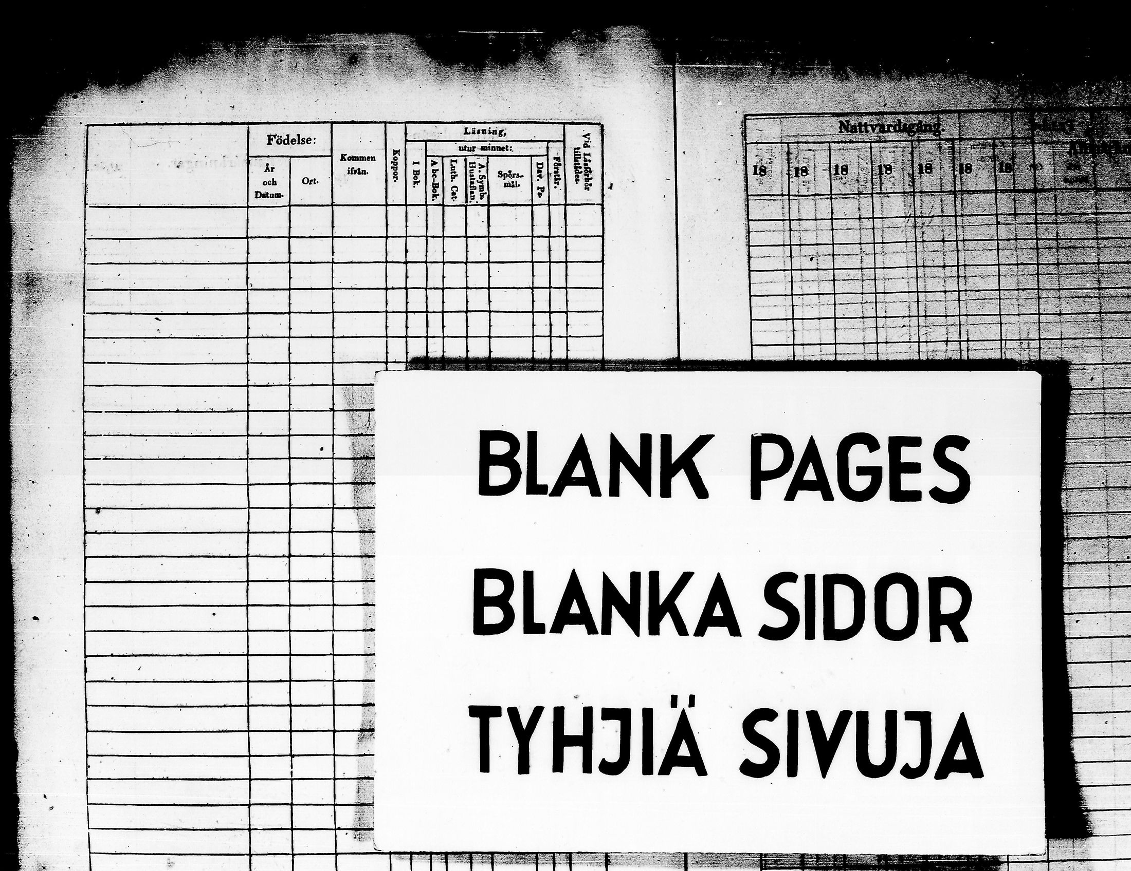 [ kuvat/553.jpg ]