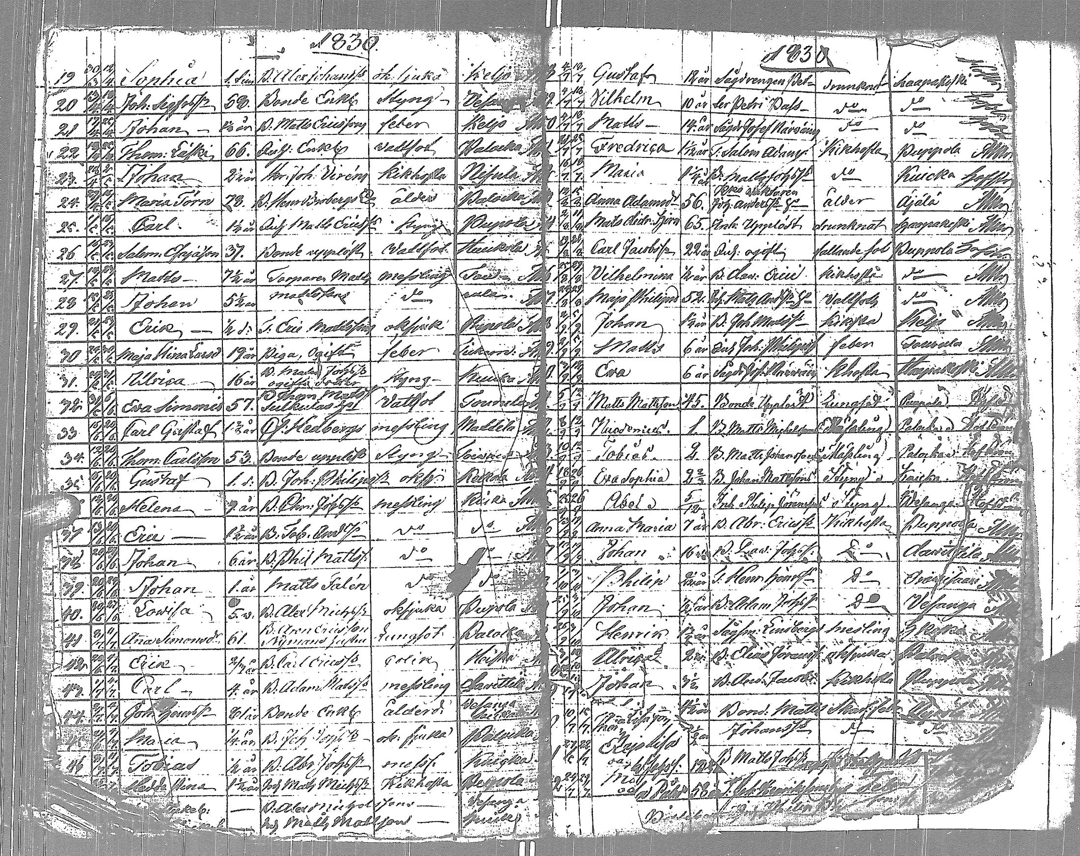 [ kuvat/81.jpg ]