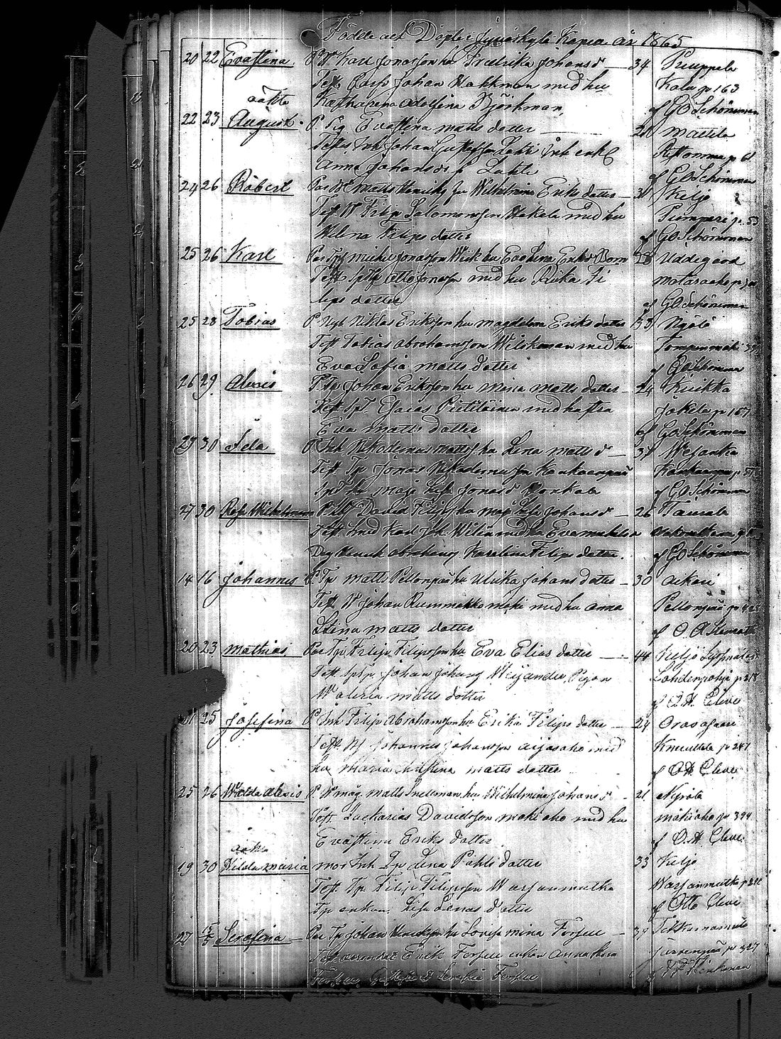 [ kuvat/119.jpg ]