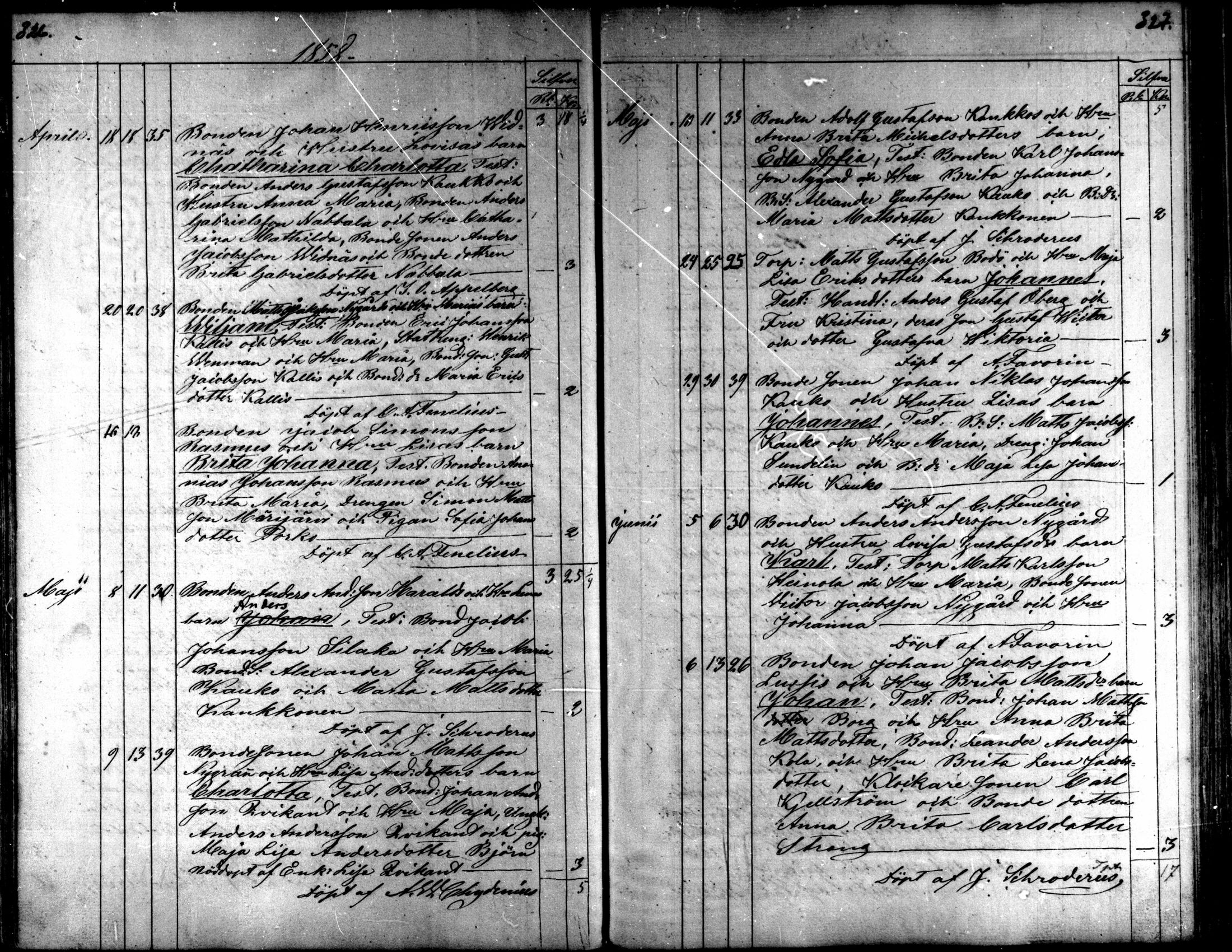 [ kuvat/168.jpg ]