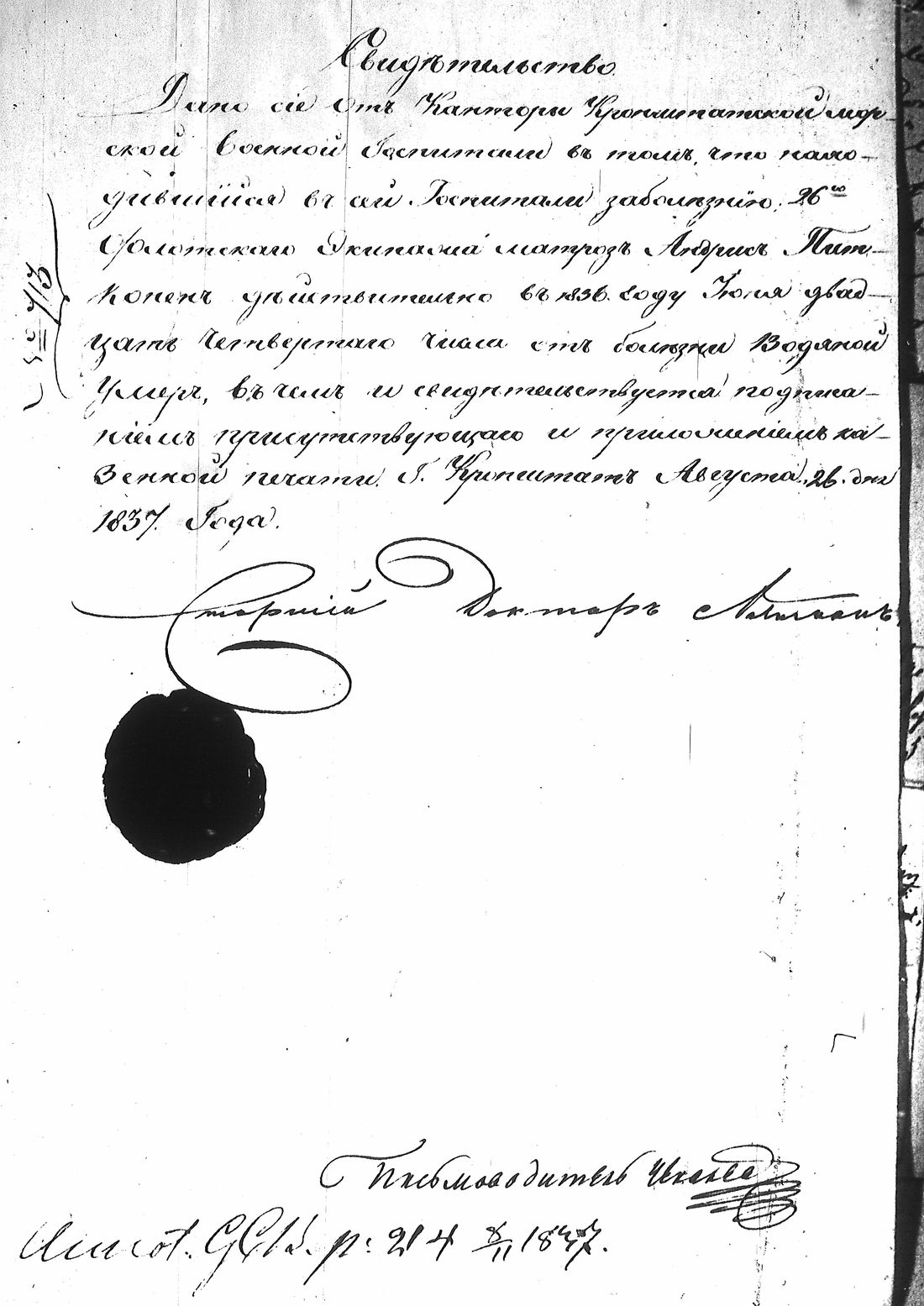 [ kuvat/321.jpg ]