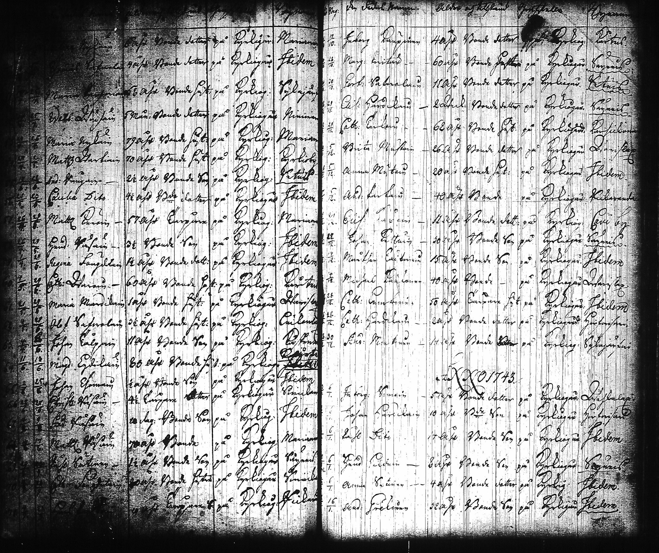[ kuvat/173.jpg ]