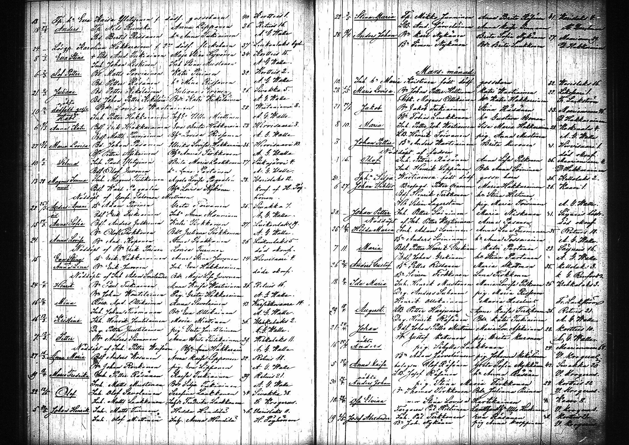 [ kuvat/161.jpg ]
