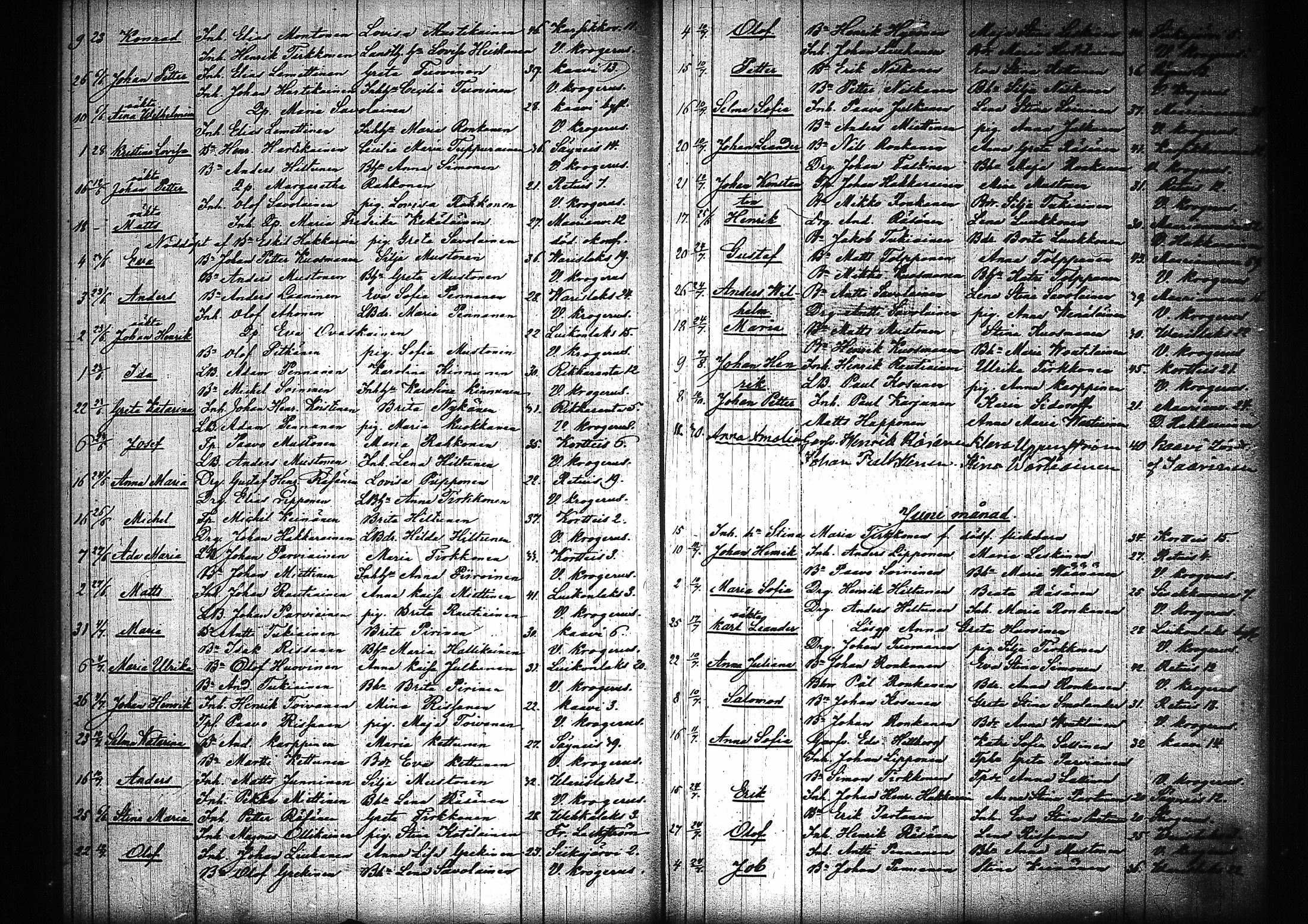 [ kuvat/163.jpg ]