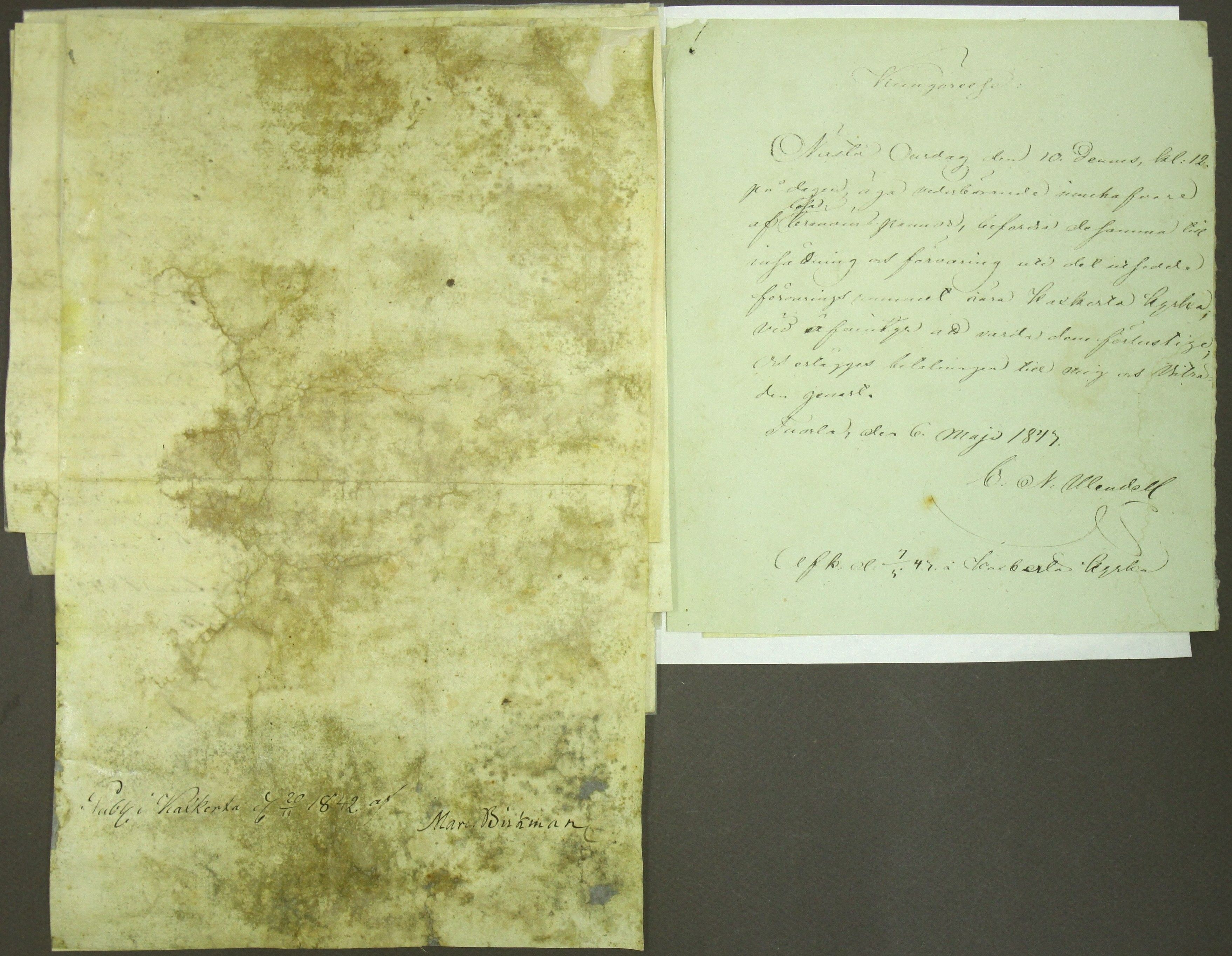 [ kuvat/161.jpg ]