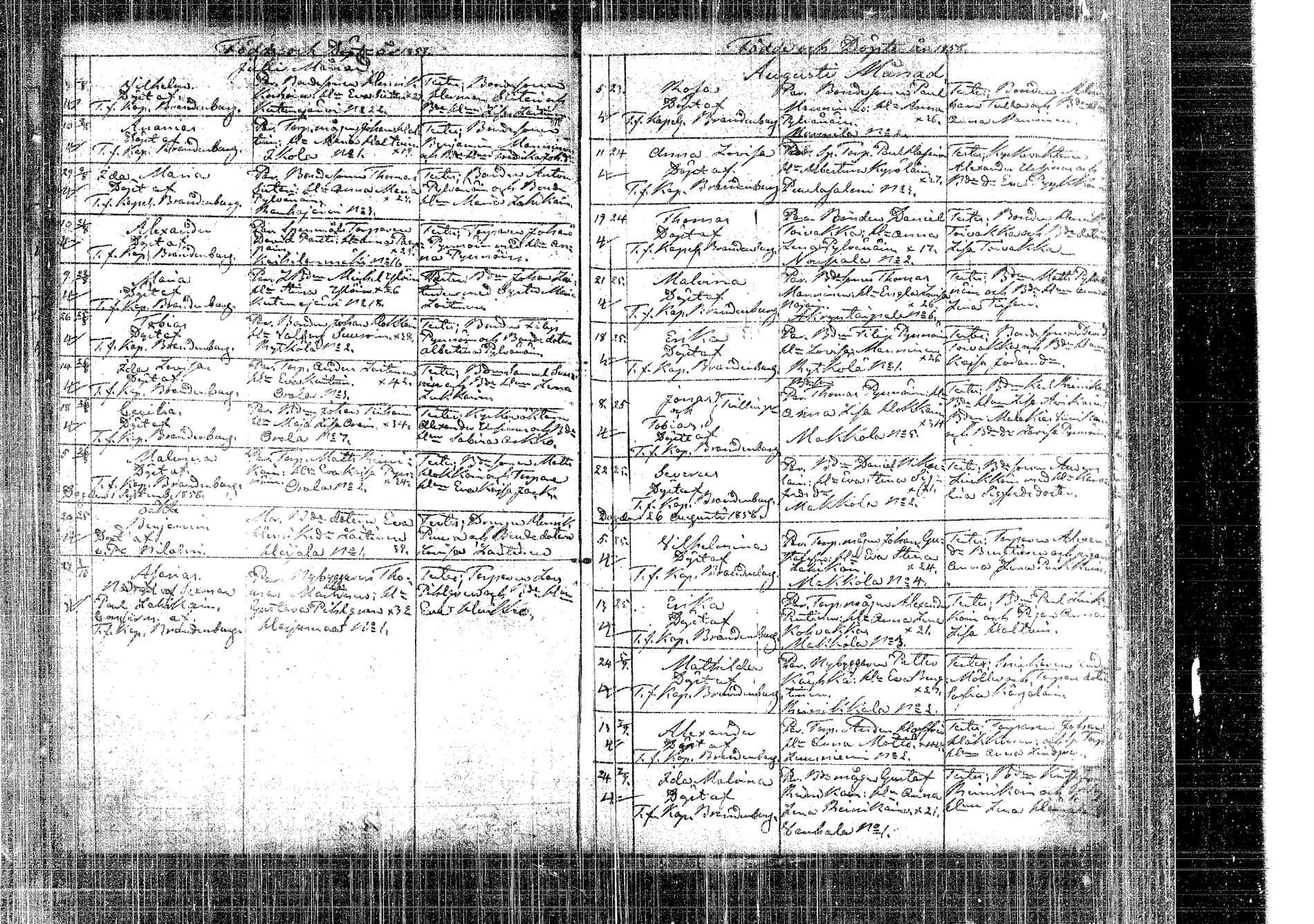 [ kuvat/163.jpg ]
