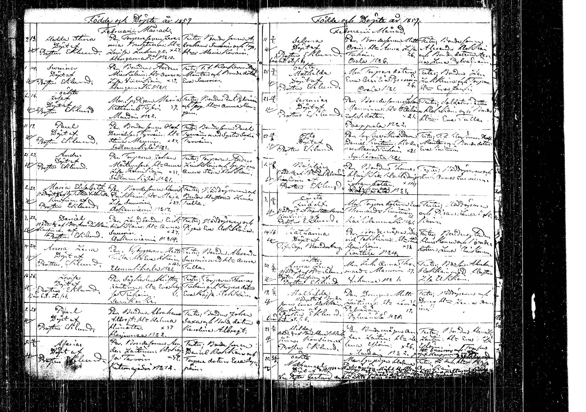 [ kuvat/171.jpg ]