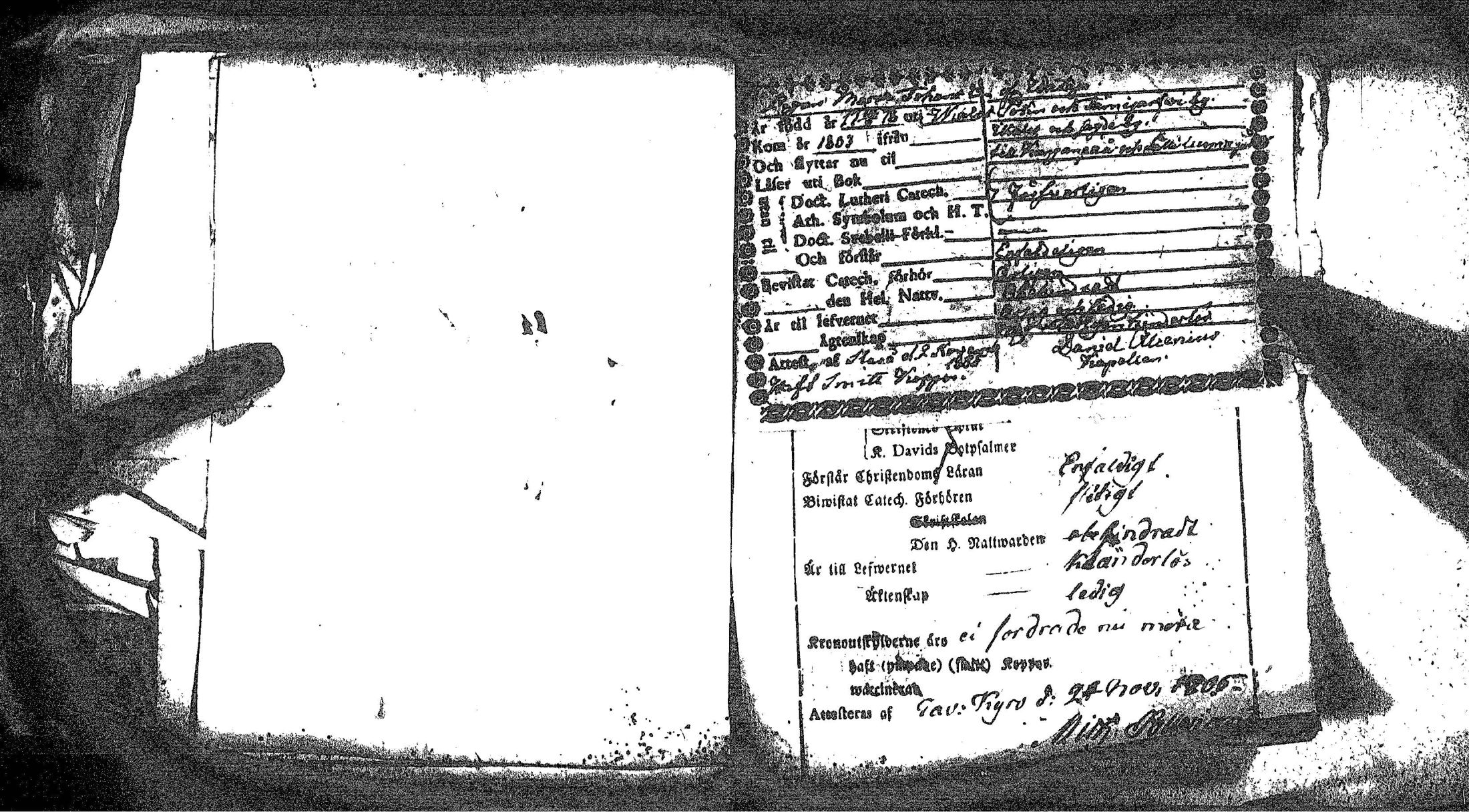 [ kuvat/113.jpg ]