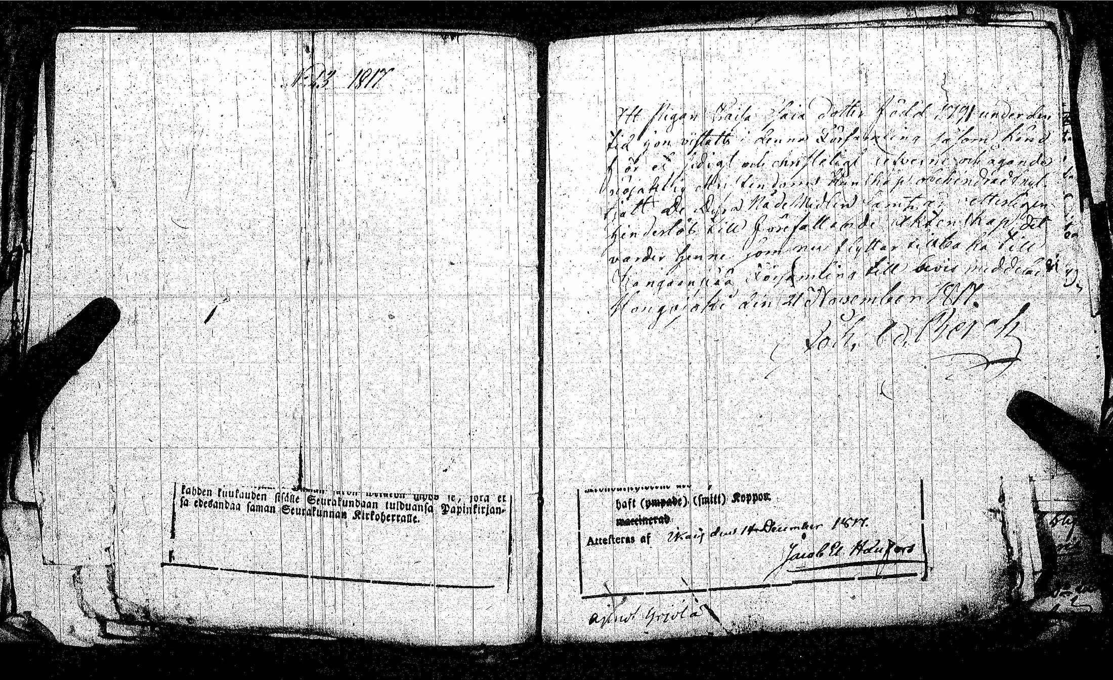 [ kuvat/91.jpg ]