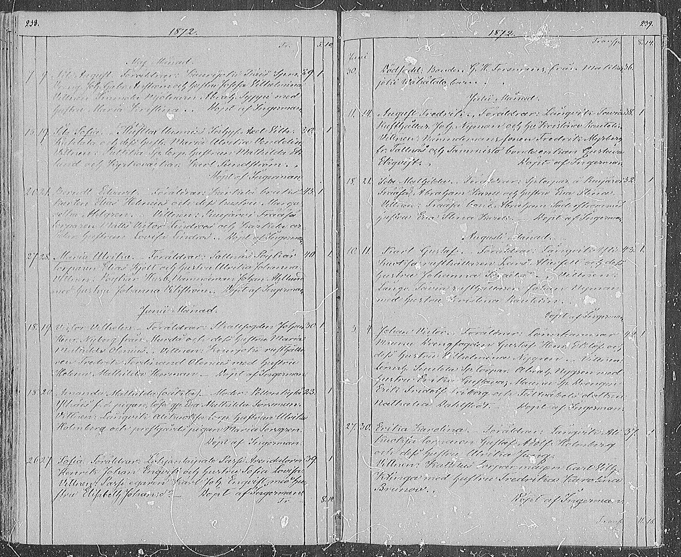 [ kuvat/120.jpg ]