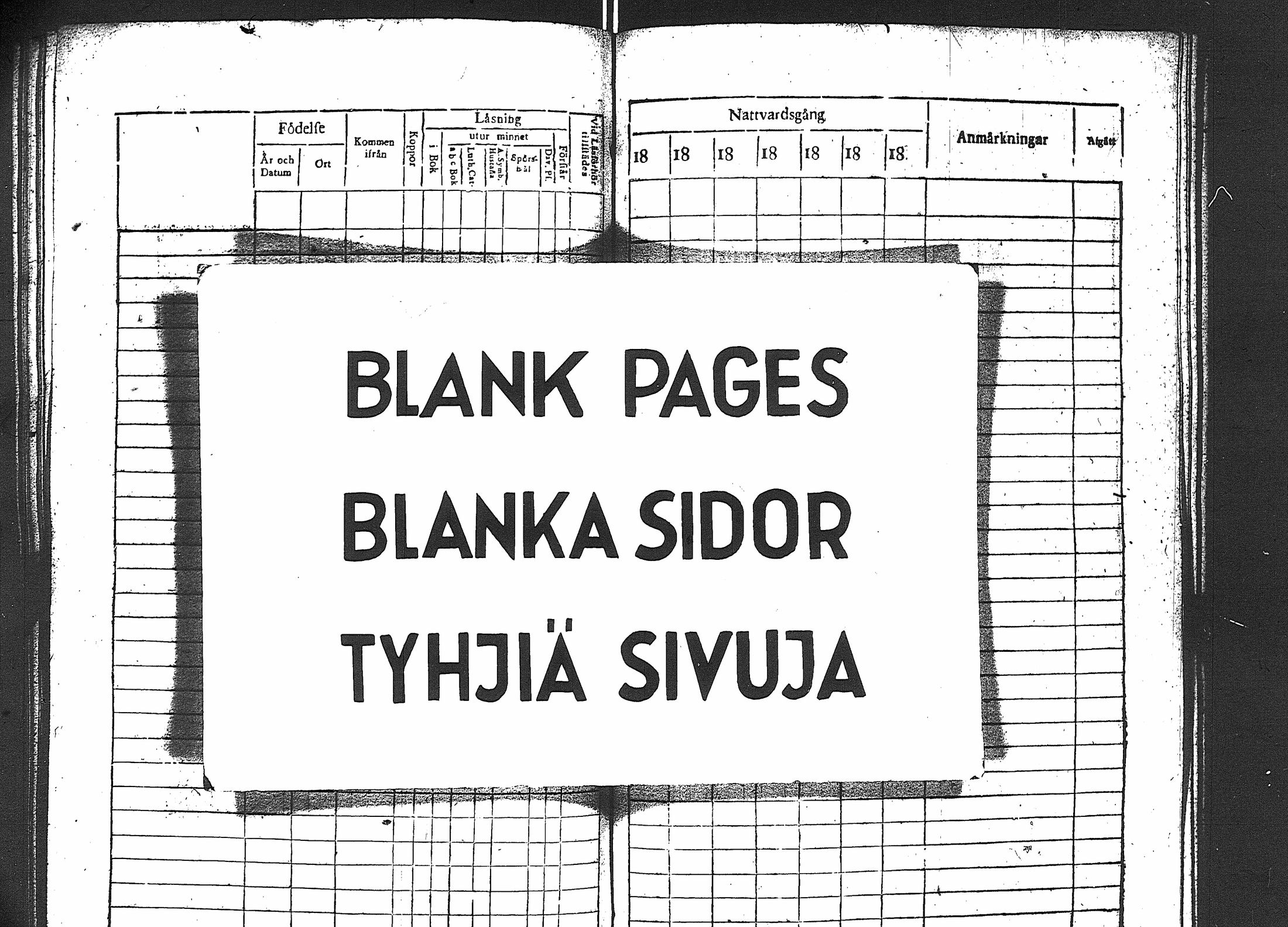 [ kuvat/145.jpg ]
