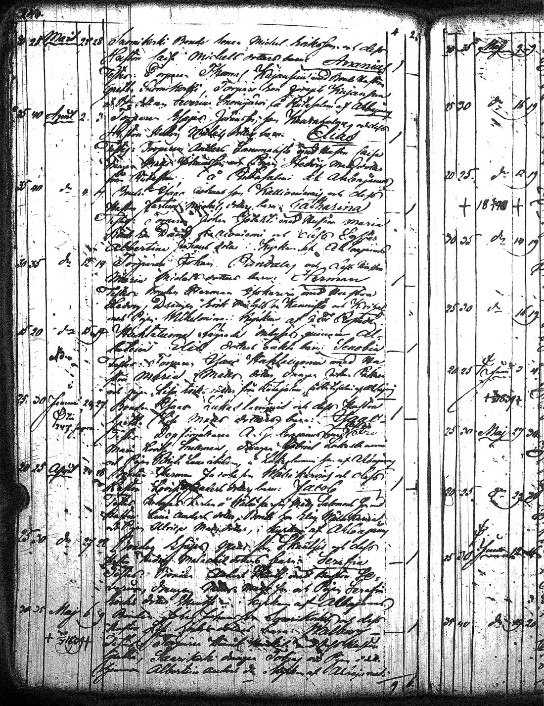 [ kuvat/271.jpg ]