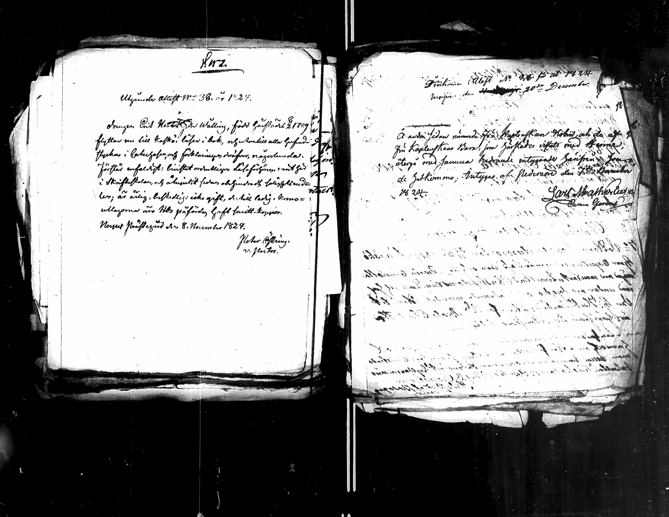 [ kuvat/118.jpg ]