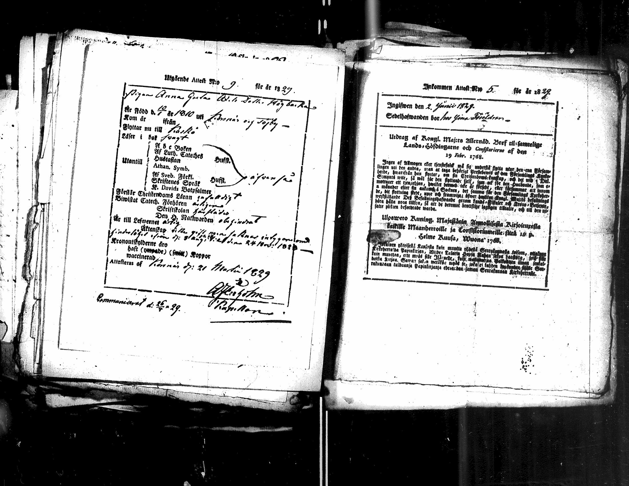 [ kuvat/222.jpg ]