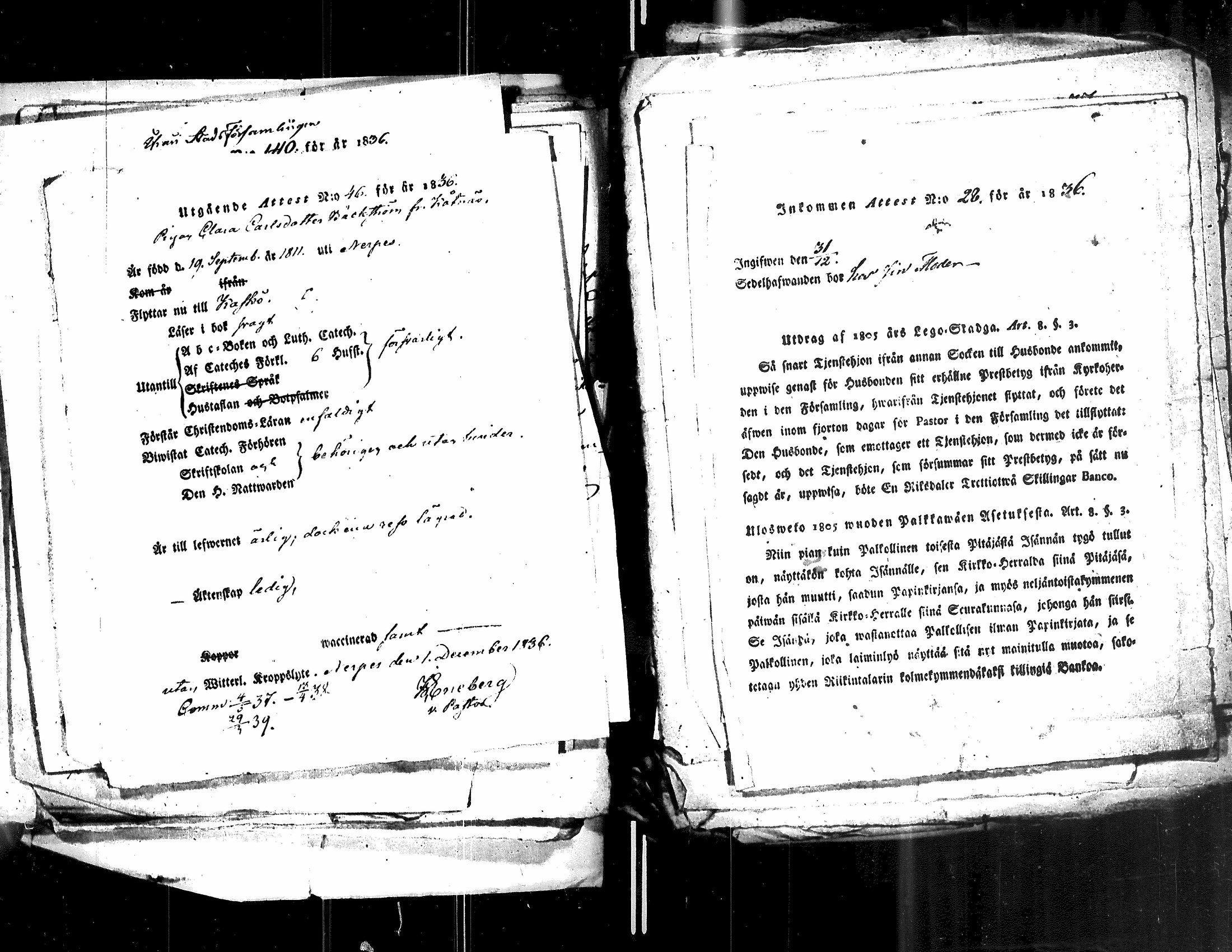 [ kuvat/182.jpg ]