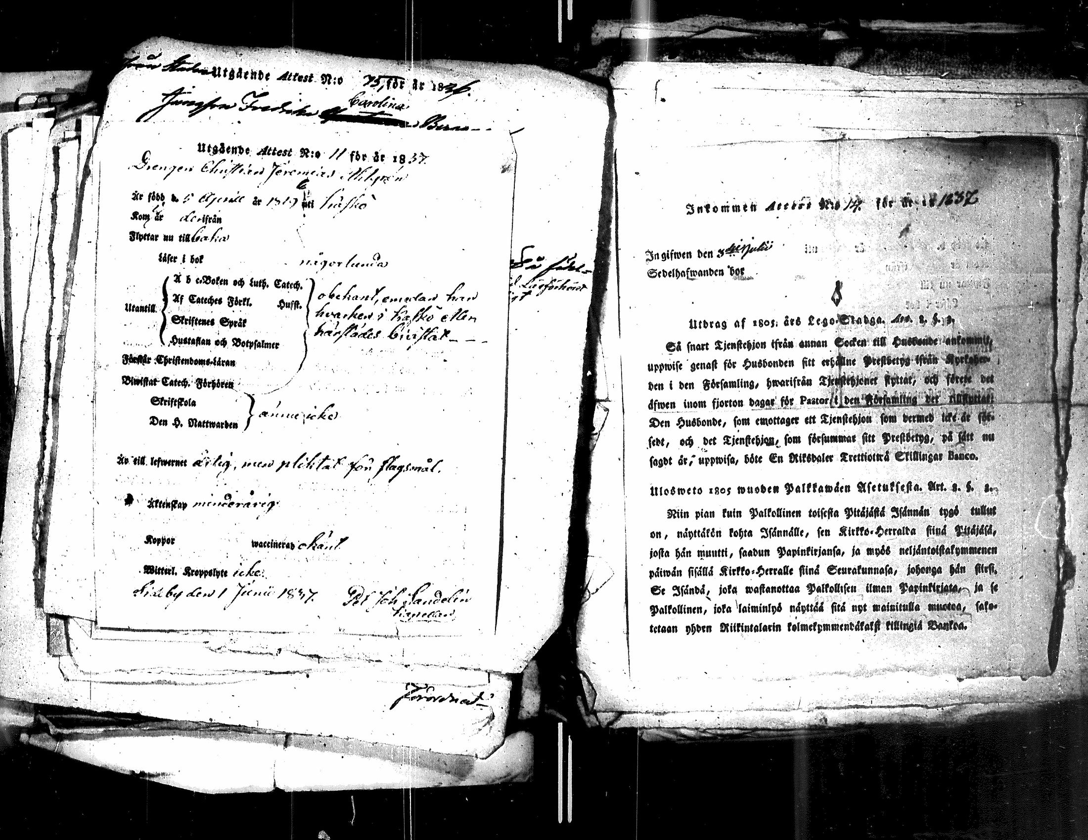 [ kuvat/196.jpg ]
