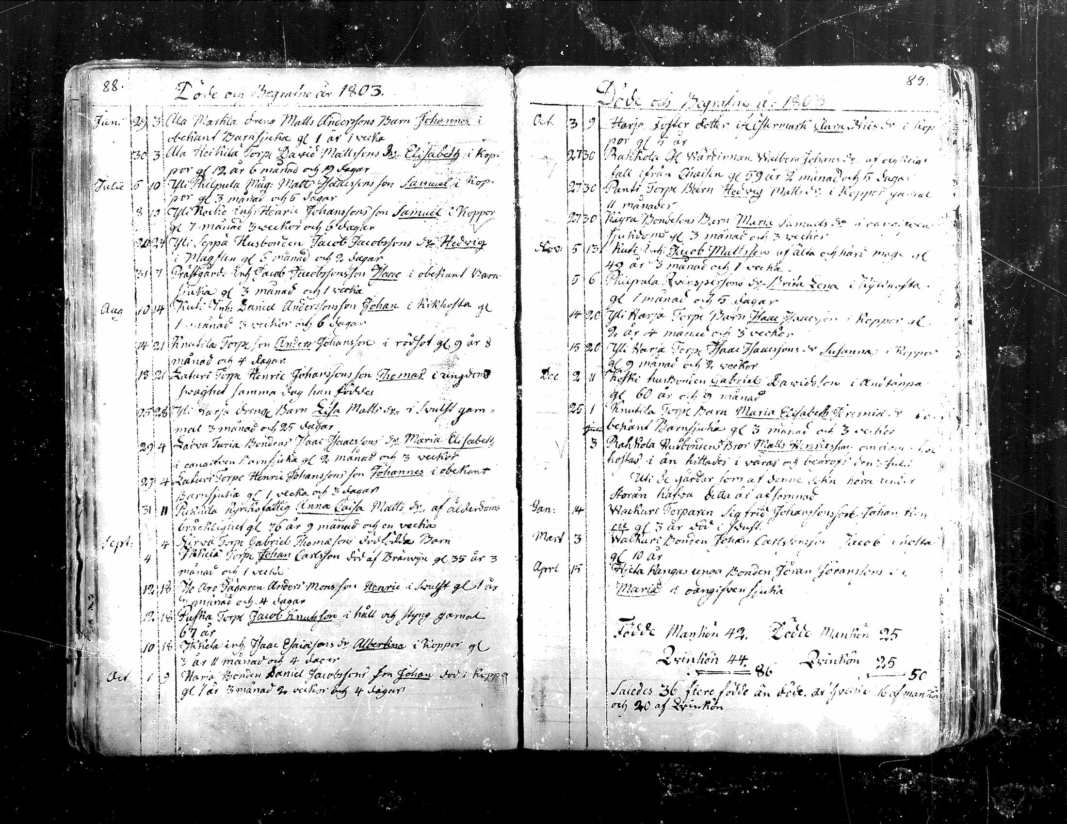 [ kuvat/126.jpg ]