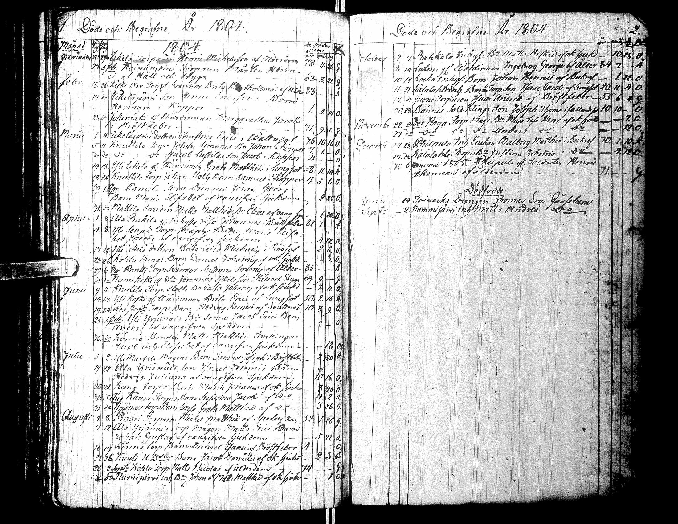 [ kuvat/170.jpg ]