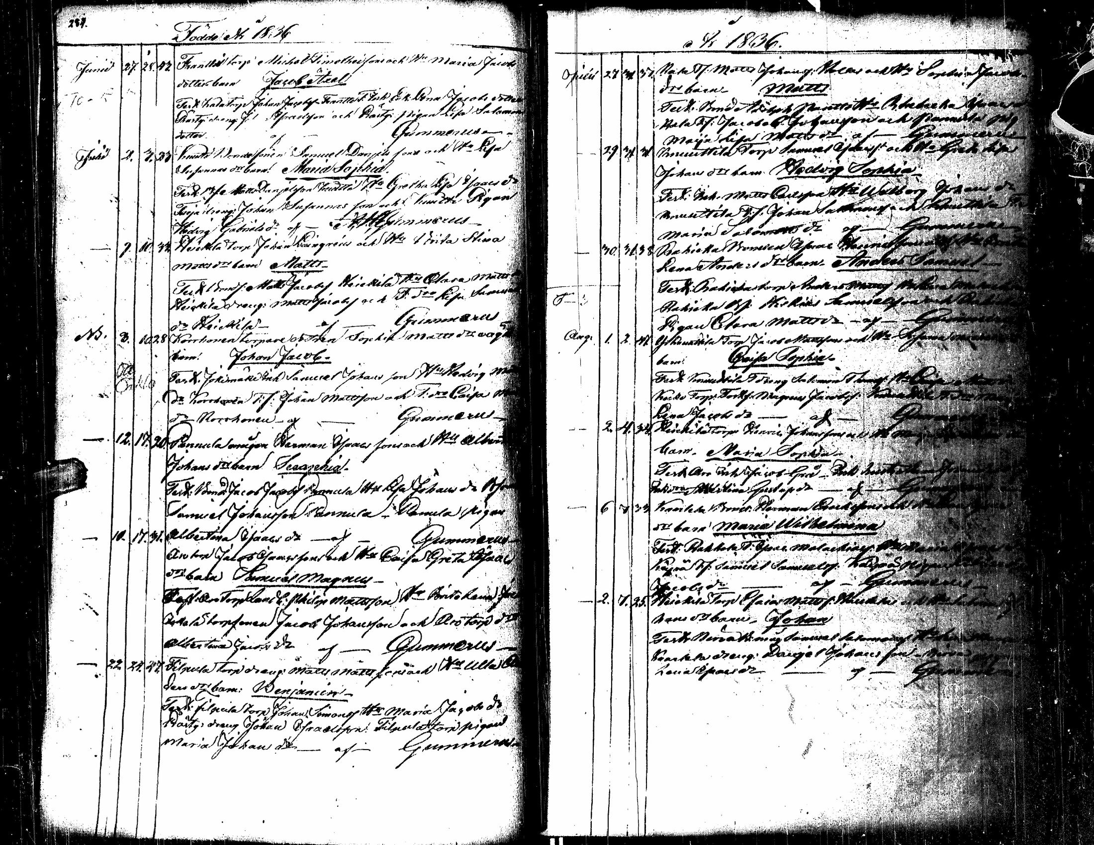 [ kuvat/155.jpg ]
