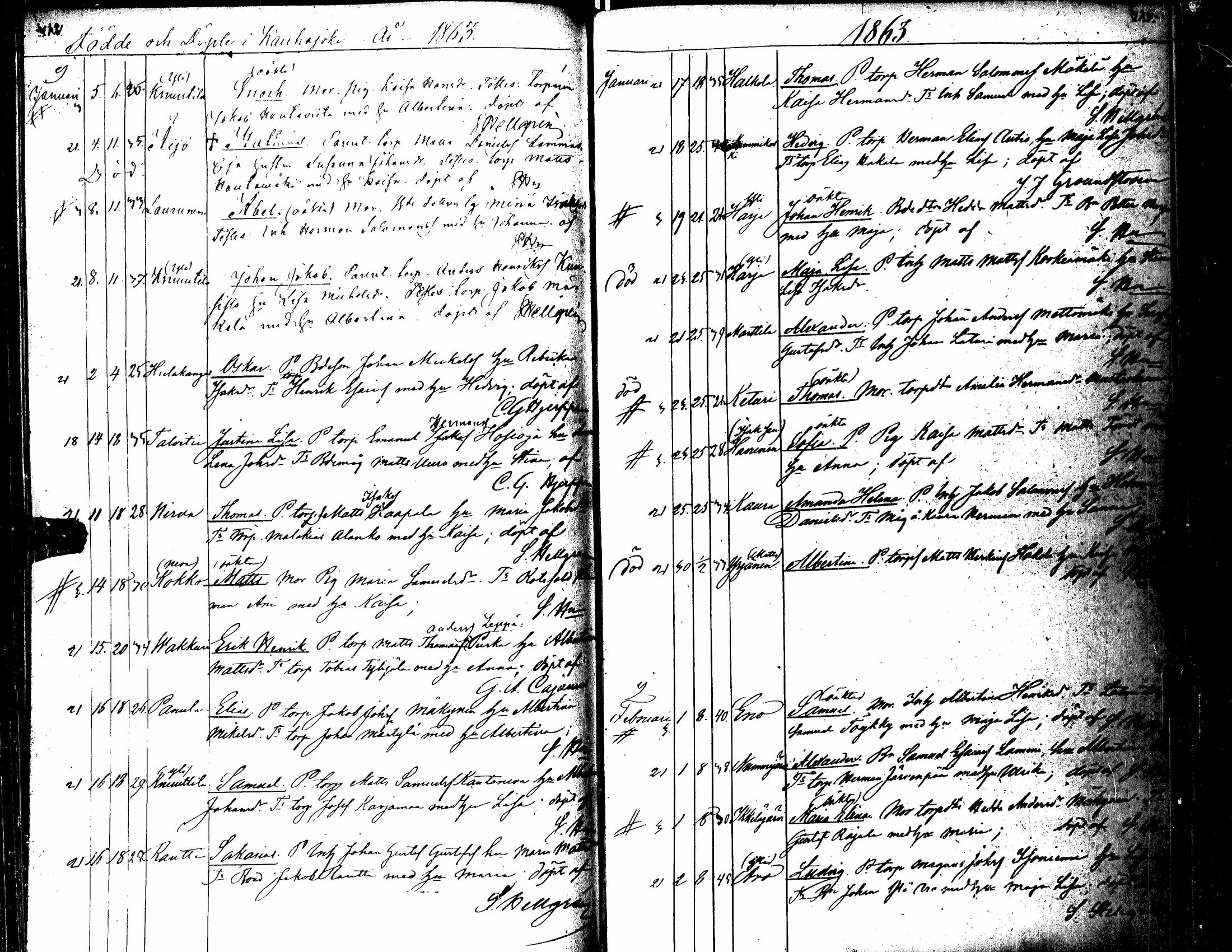 [ kuvat/163.jpg ]