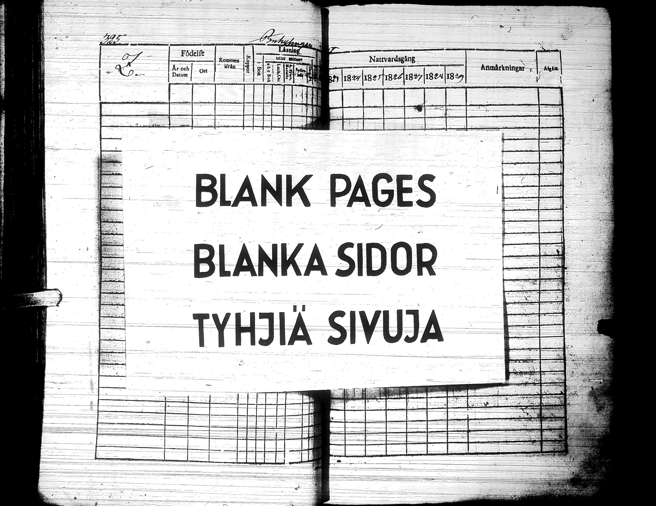 [ kuvat/335.jpg ]