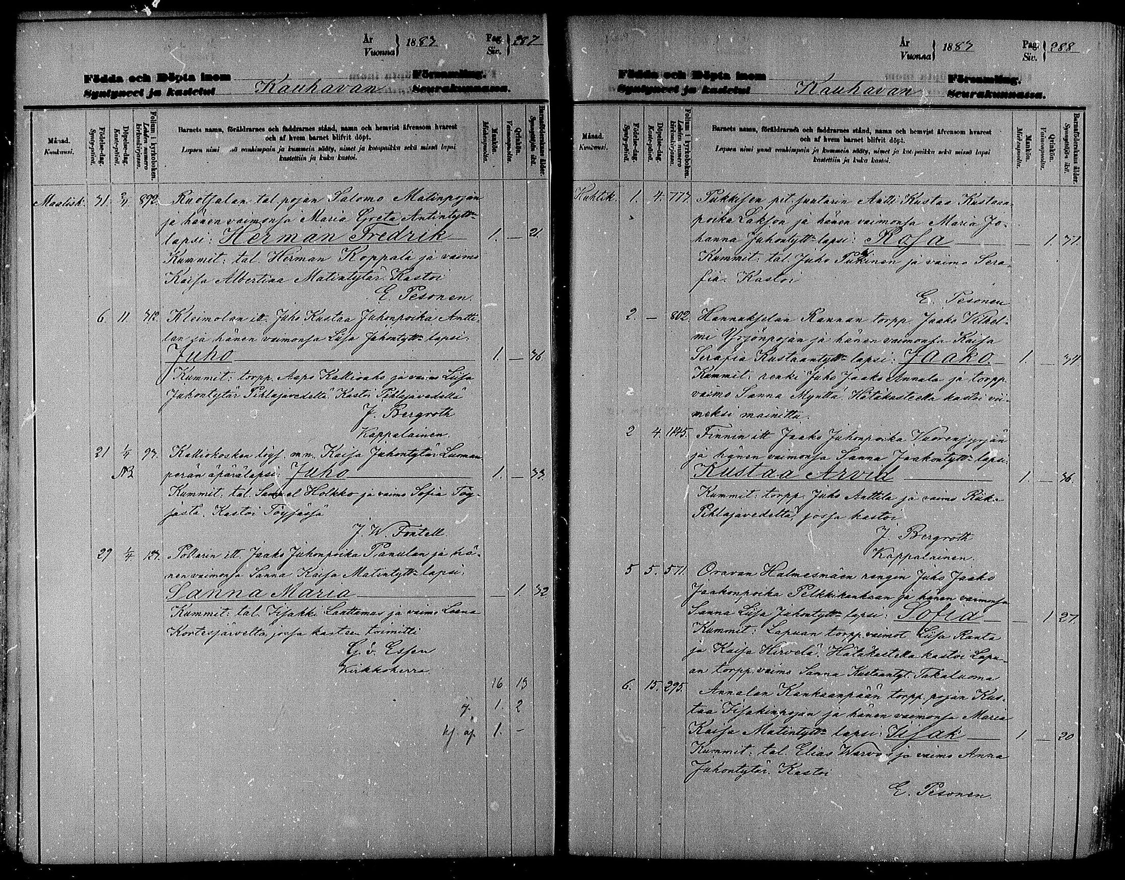 [ kuvat/145.jpg ]