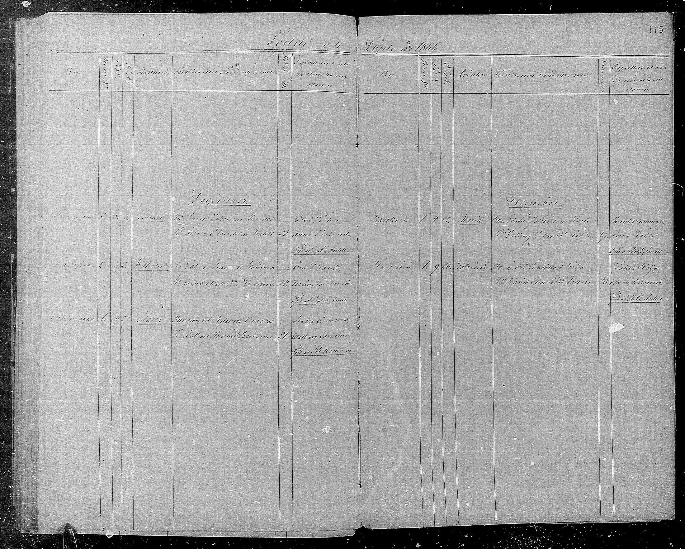 [ kuvat/115.jpg ]