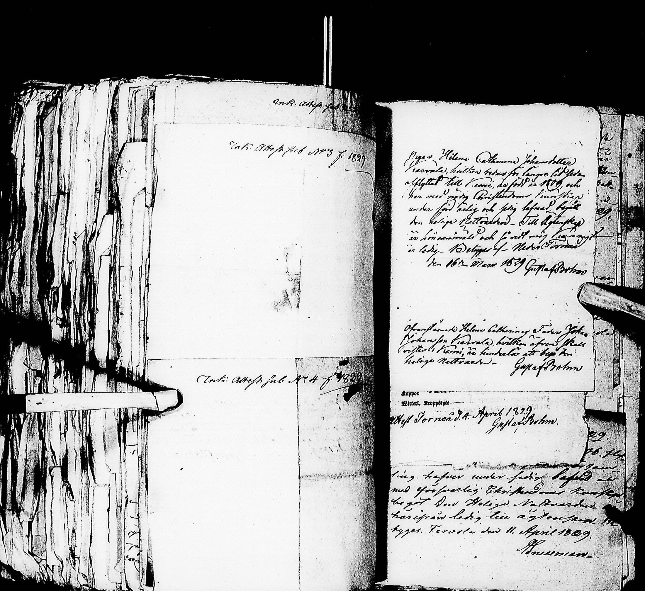 [ kuvat/1068.jpg ]